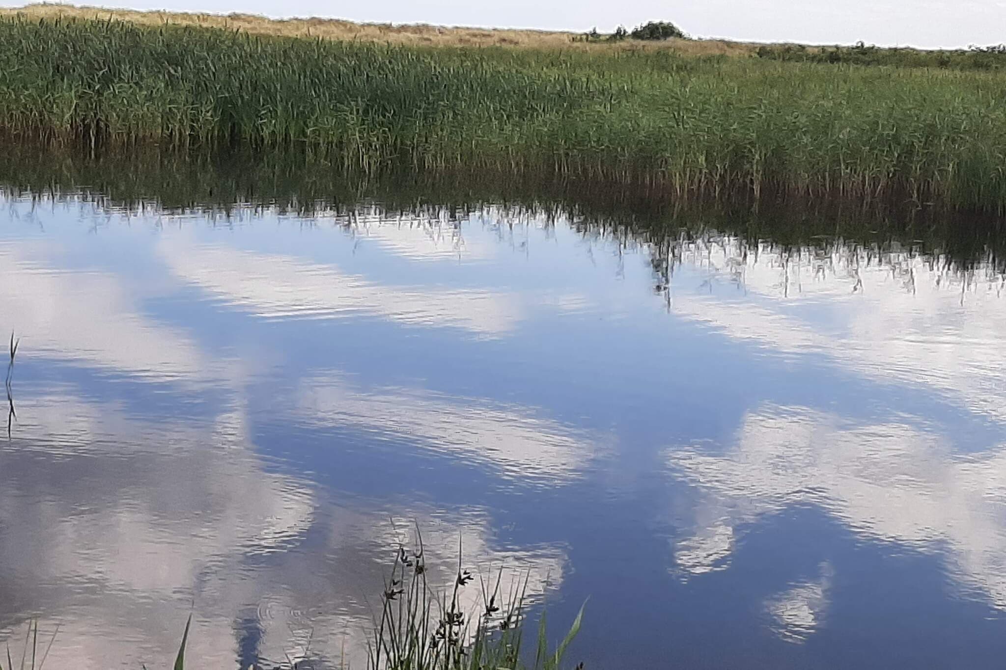 6 persoons vakantie huis in Hals-By Traum - Niet-getagd