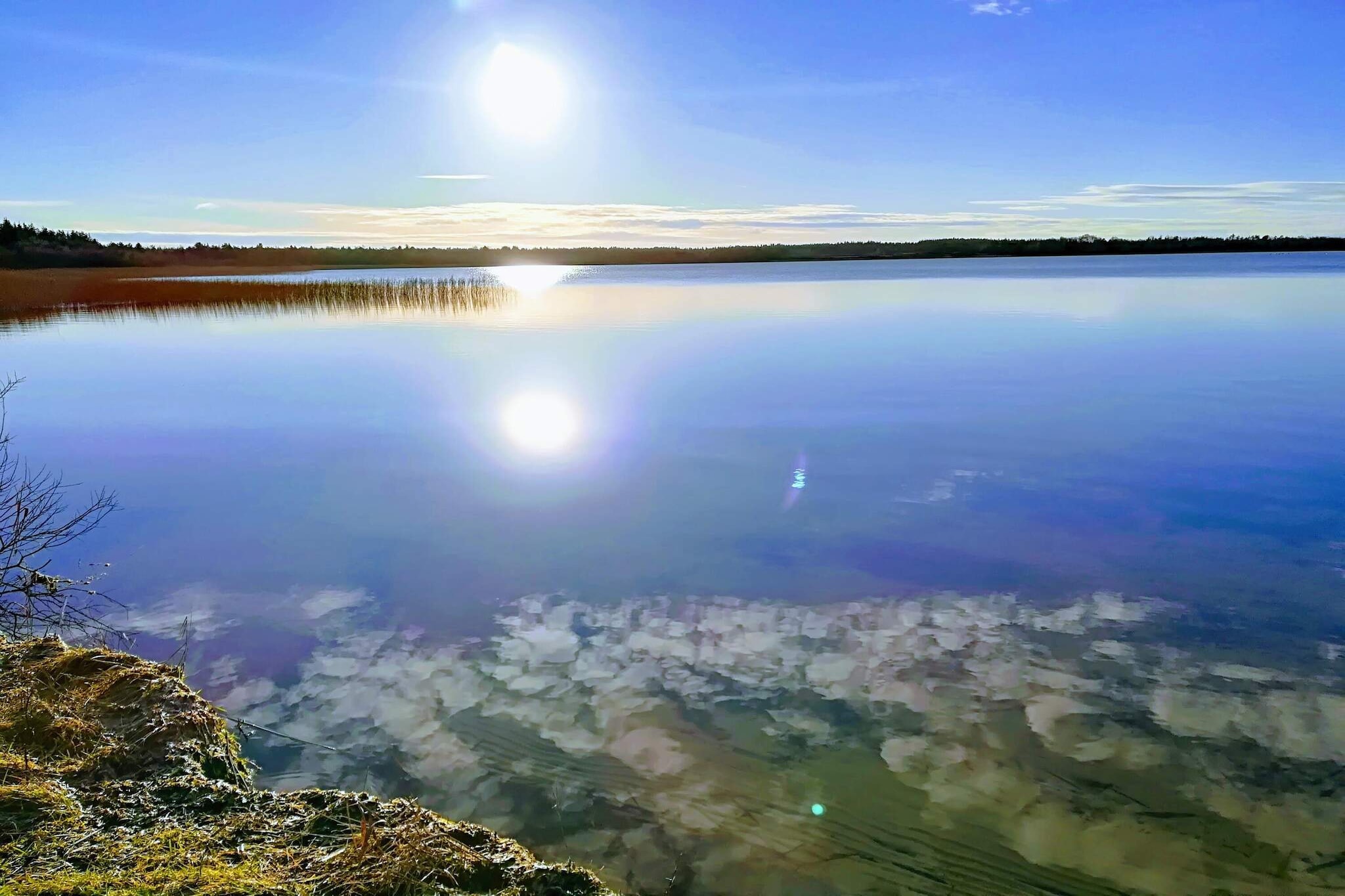 Water View