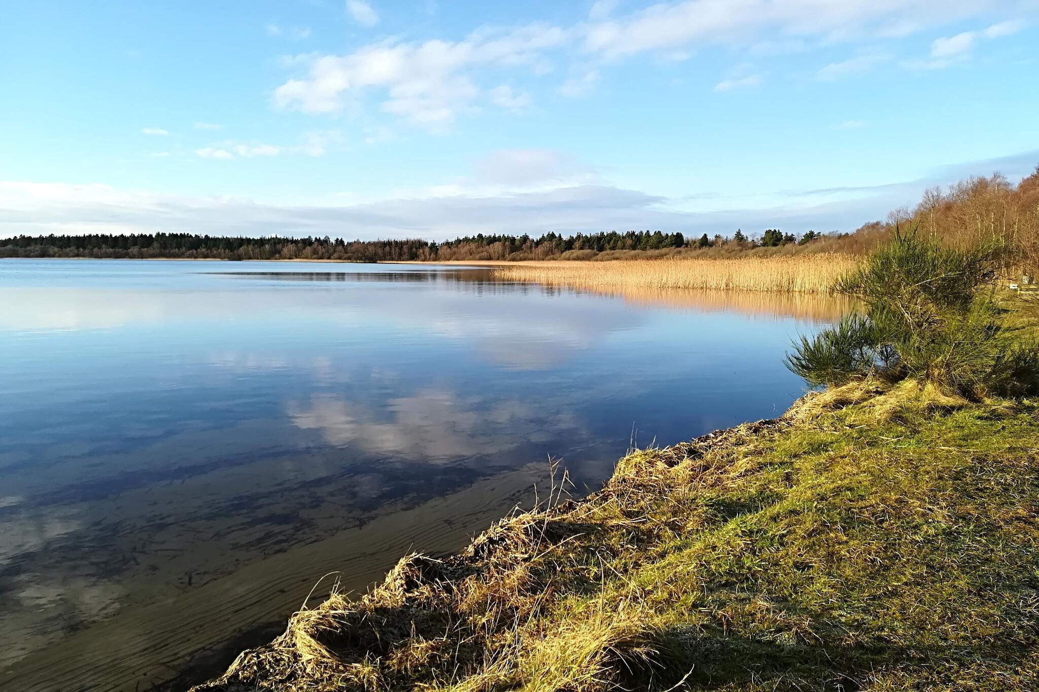 Water View
