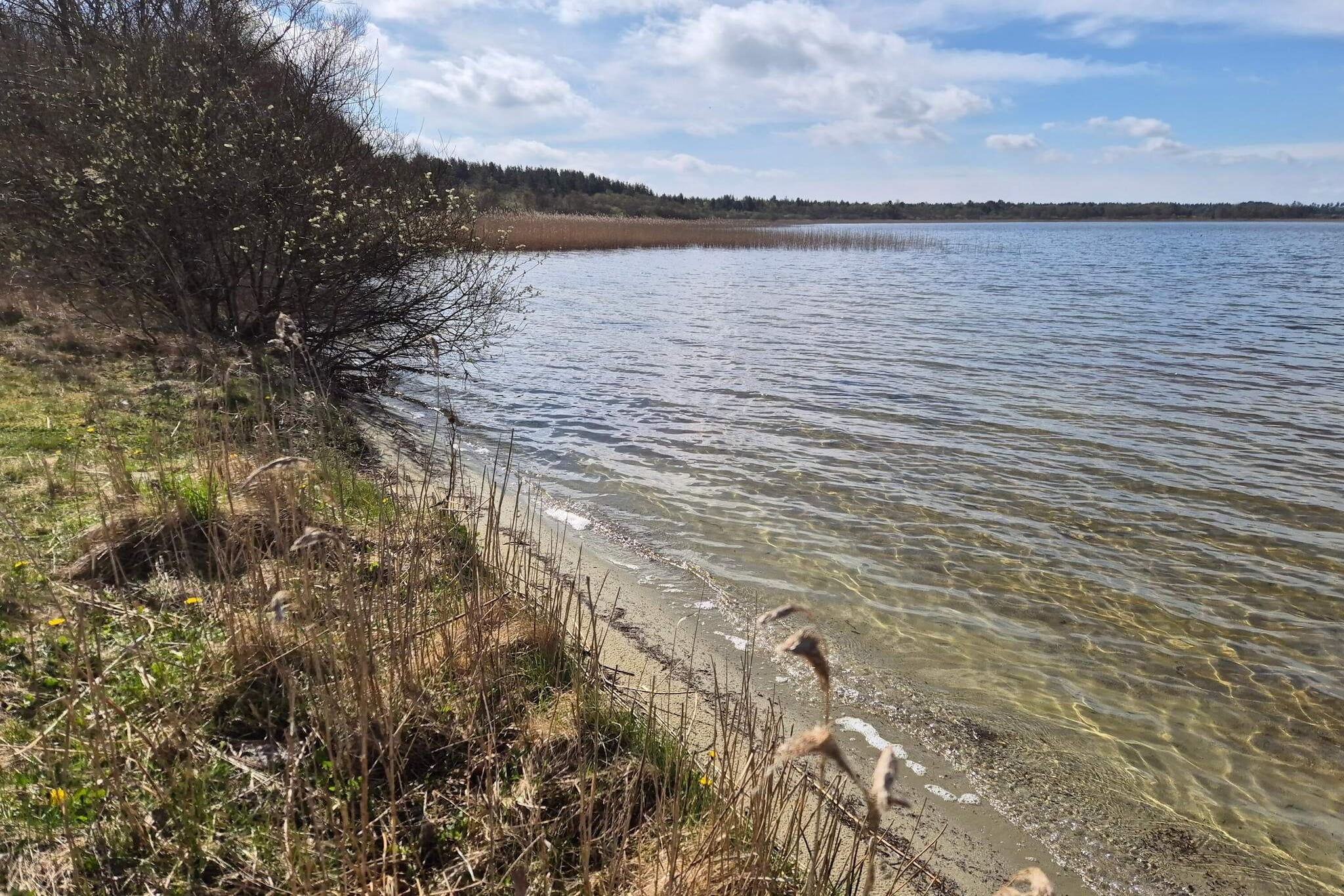 Water View