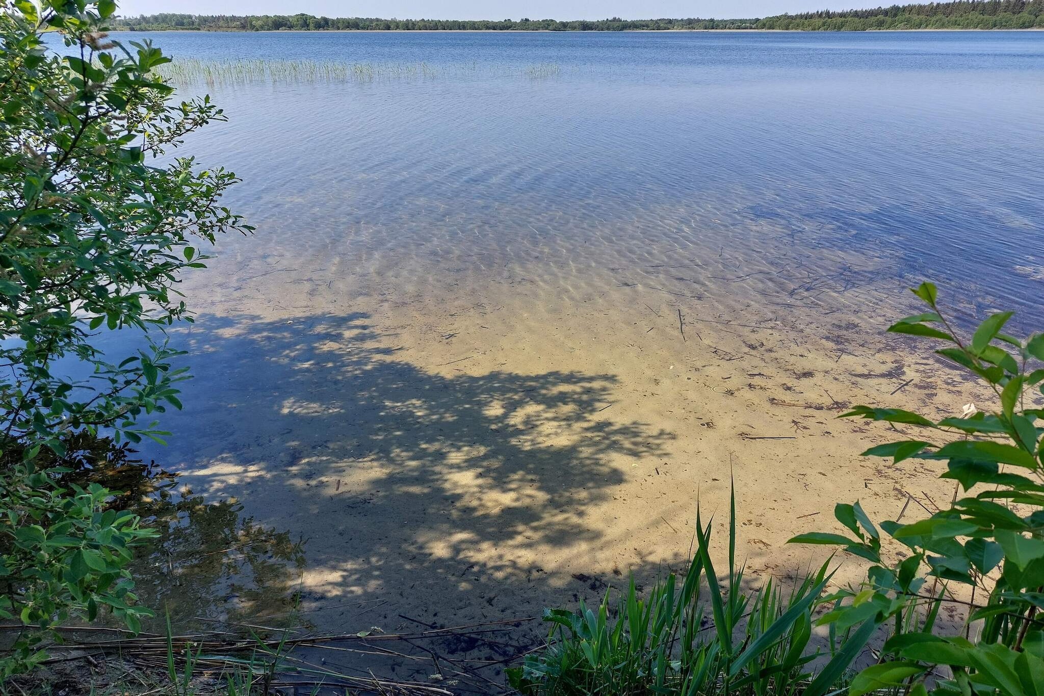 Water View