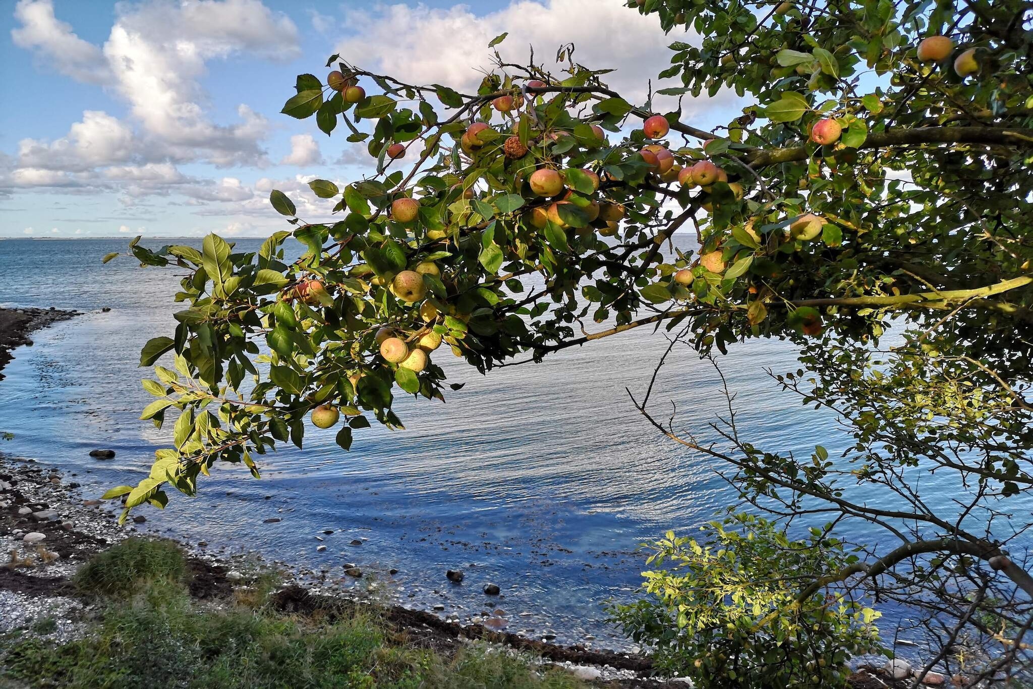 6 persoons vakantie huis in Fårevejle-By Traum-Waterzicht