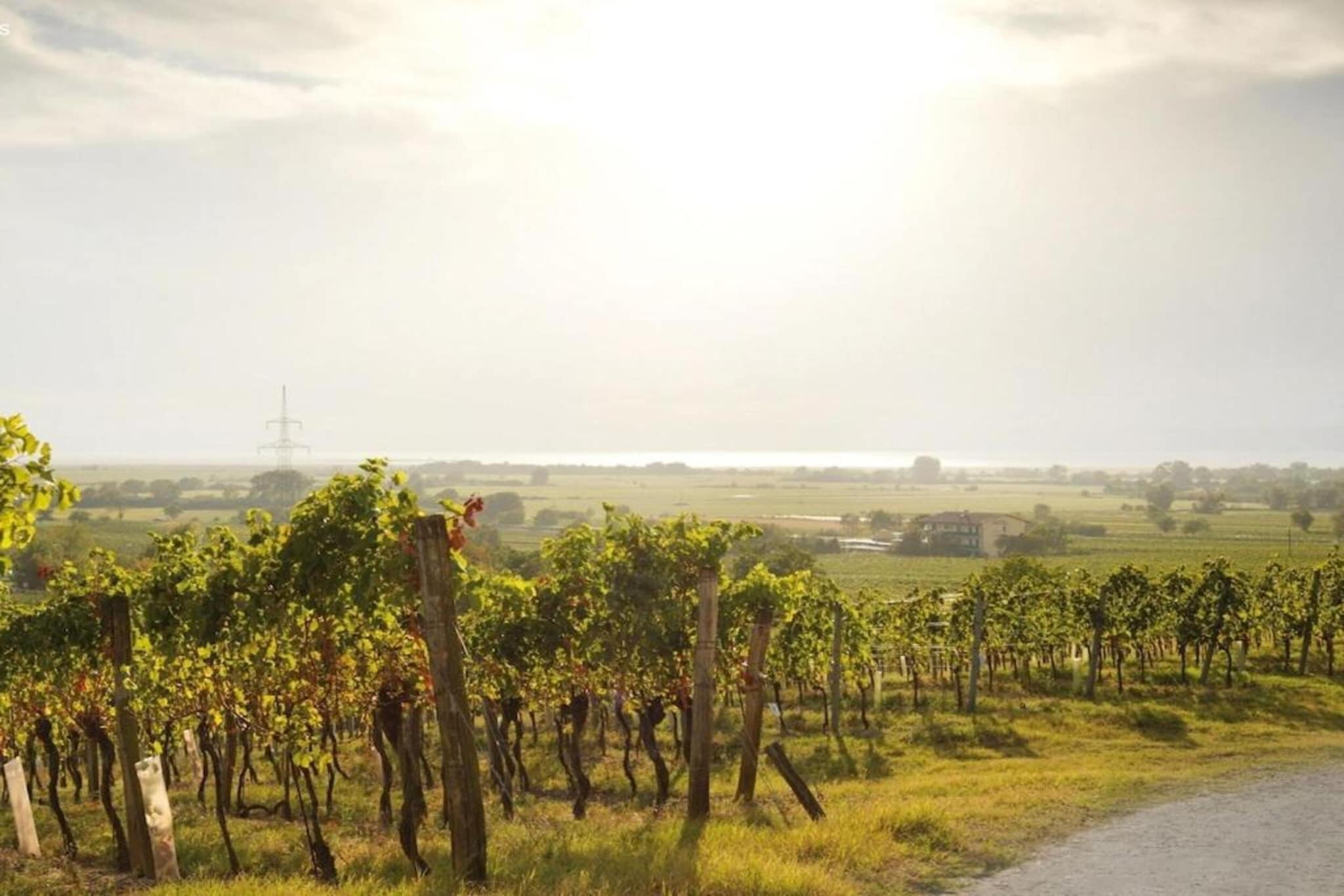 Pannonia Golfresort-Areas summer 20km