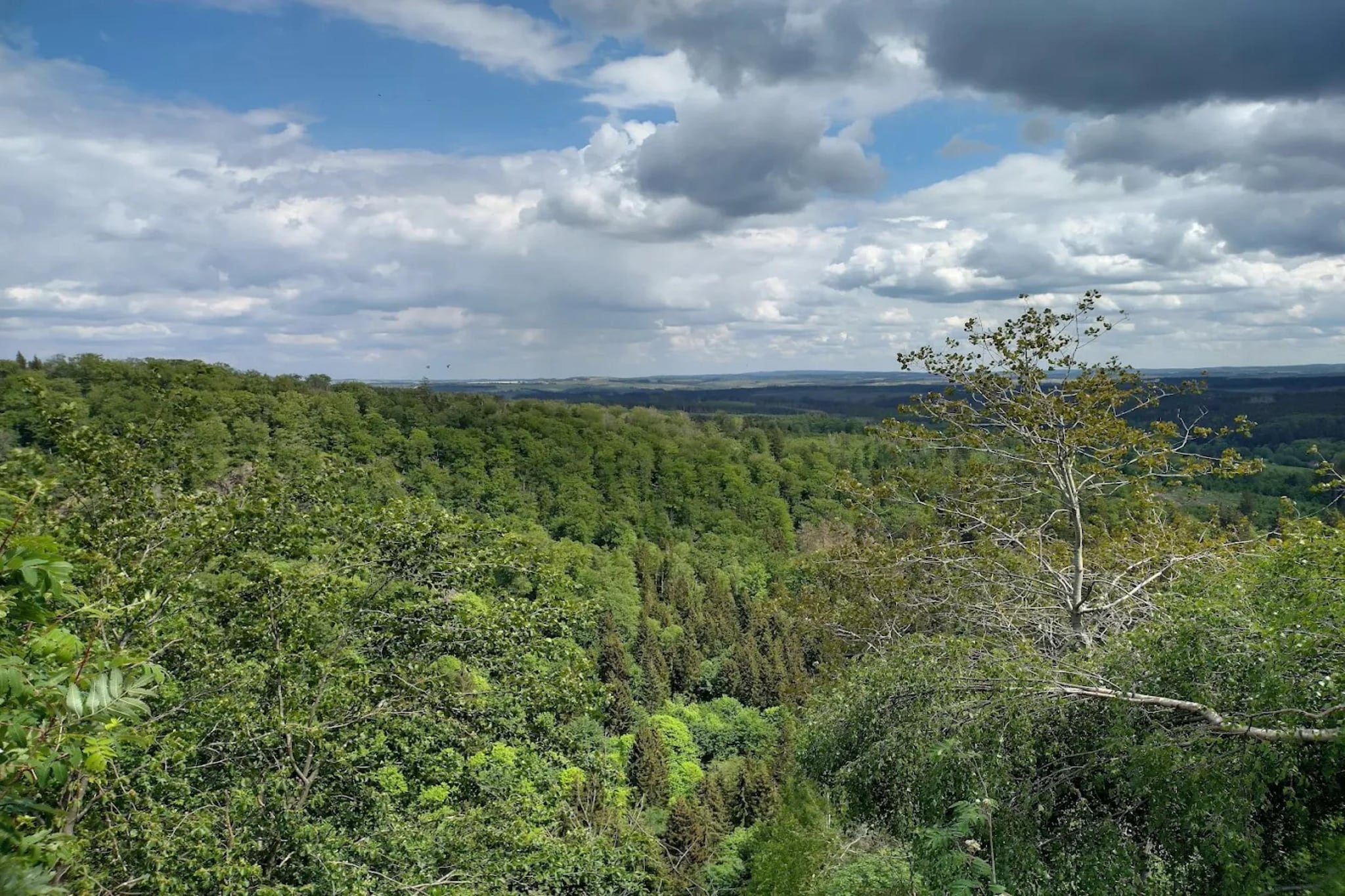 ExclusivLodge - 6 Erw 2 Ki-11 J-Gebieden zomer 5km
