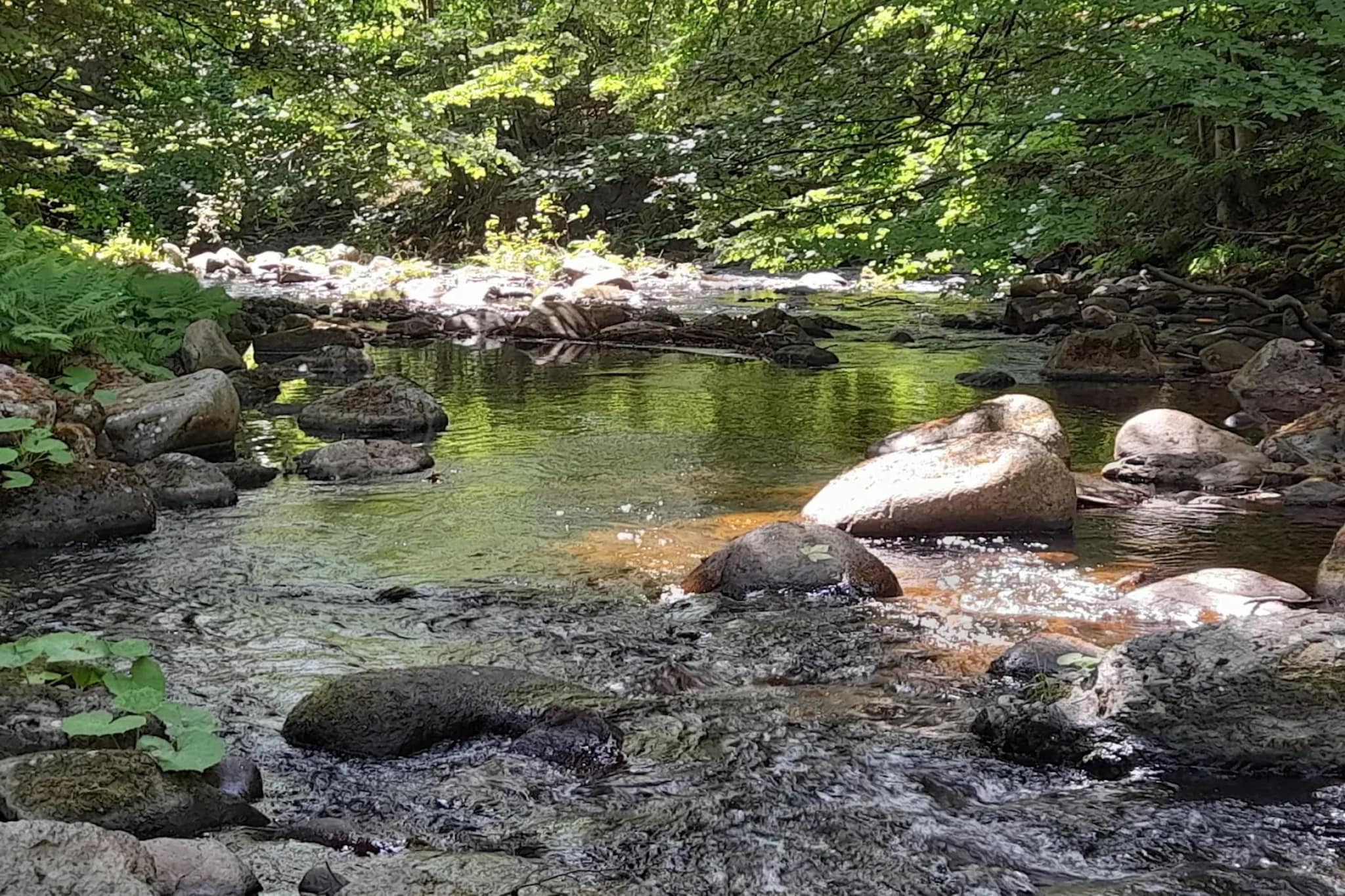ExclusivLodge - 6 Erw 2 Ki-11 J-Gebieden zomer 5km