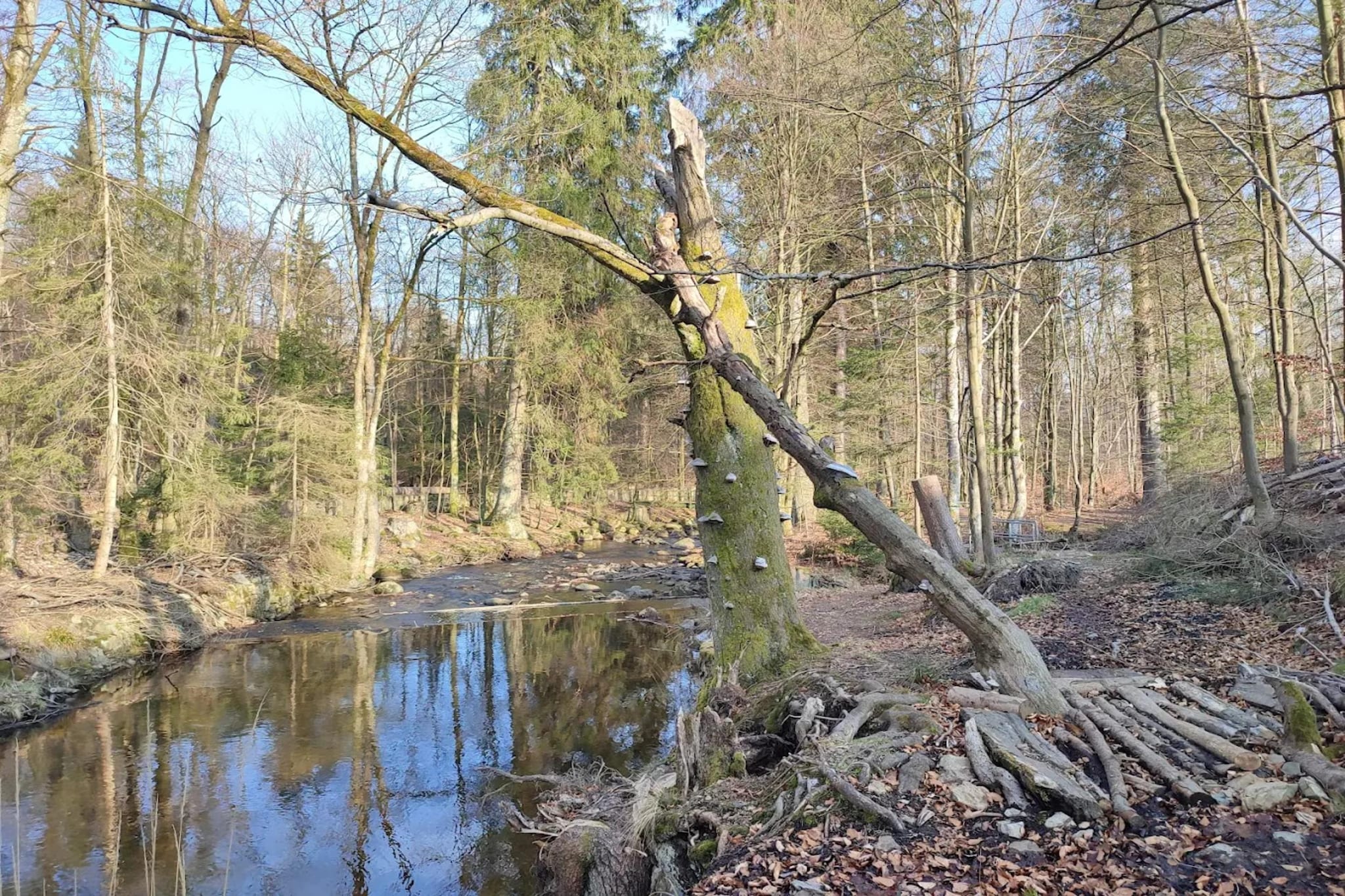 ExclusivLodge - 6 Erw 2 Ki-11 J-Gebieden zomer 5km
