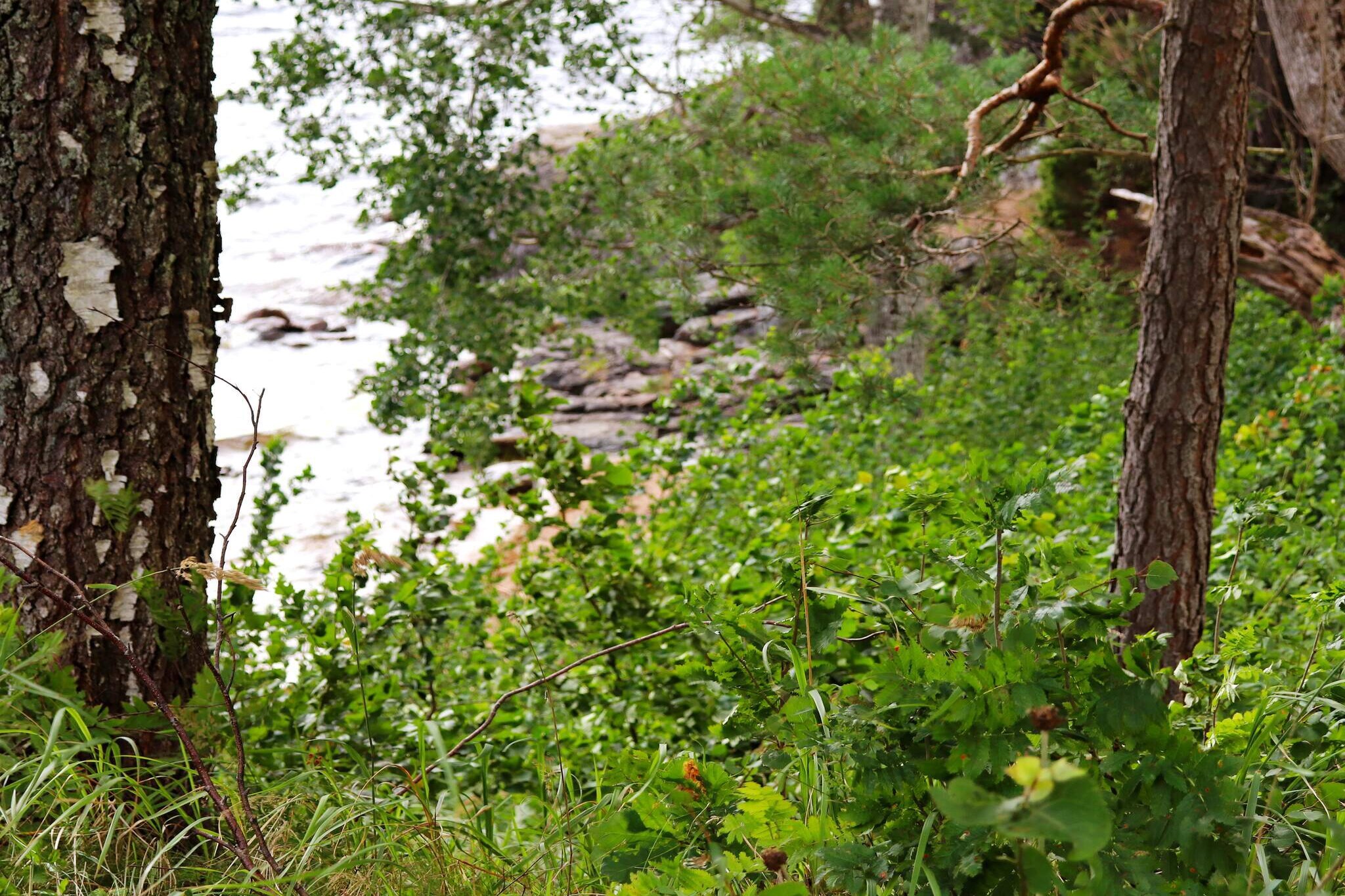 Sweden