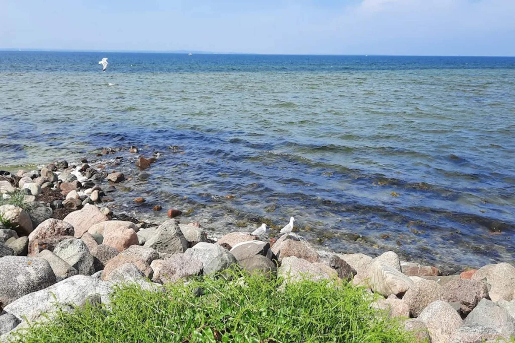 4 room,ground floor-Wasserblick