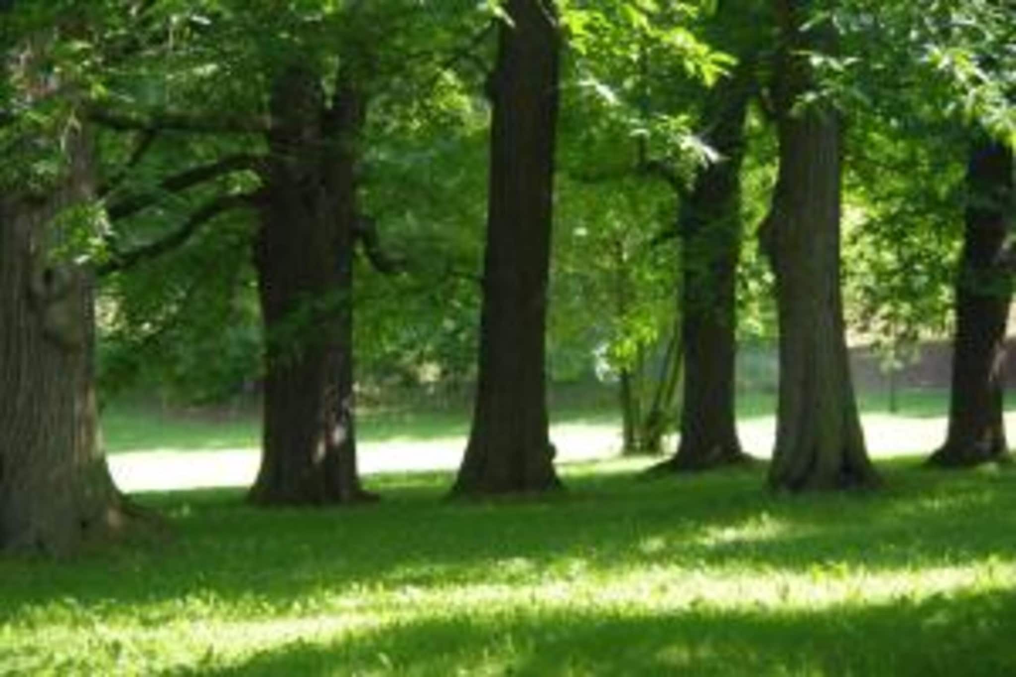 Ferienwohnung Jagdglück-Gebieden zomer 20km