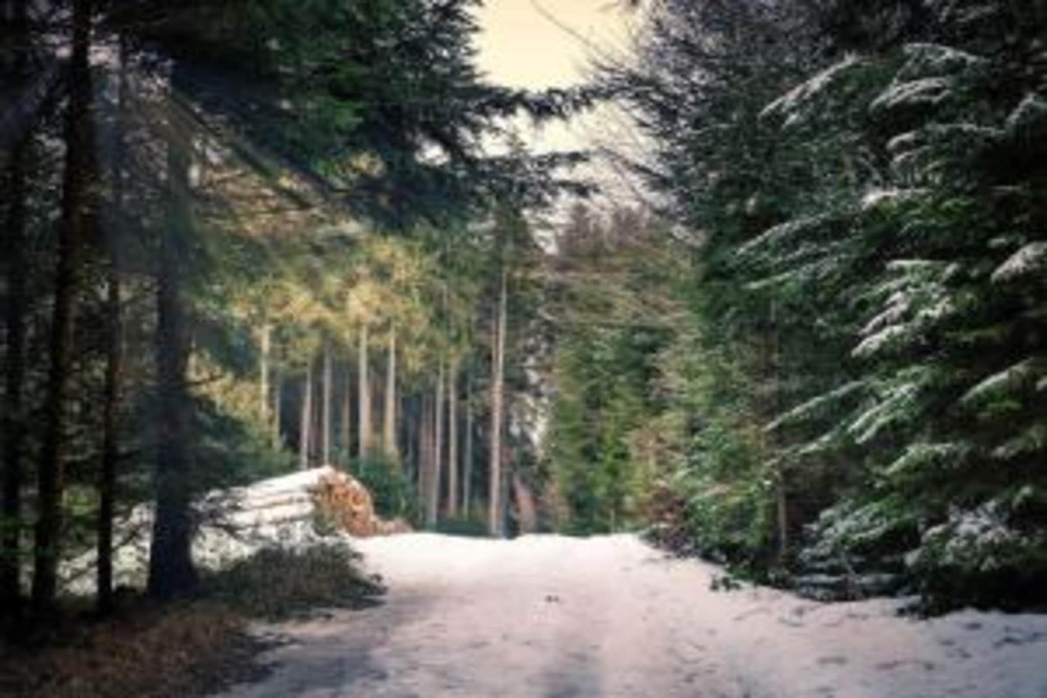 Ferienwohnung Jagdglück-Gebied winter 20km