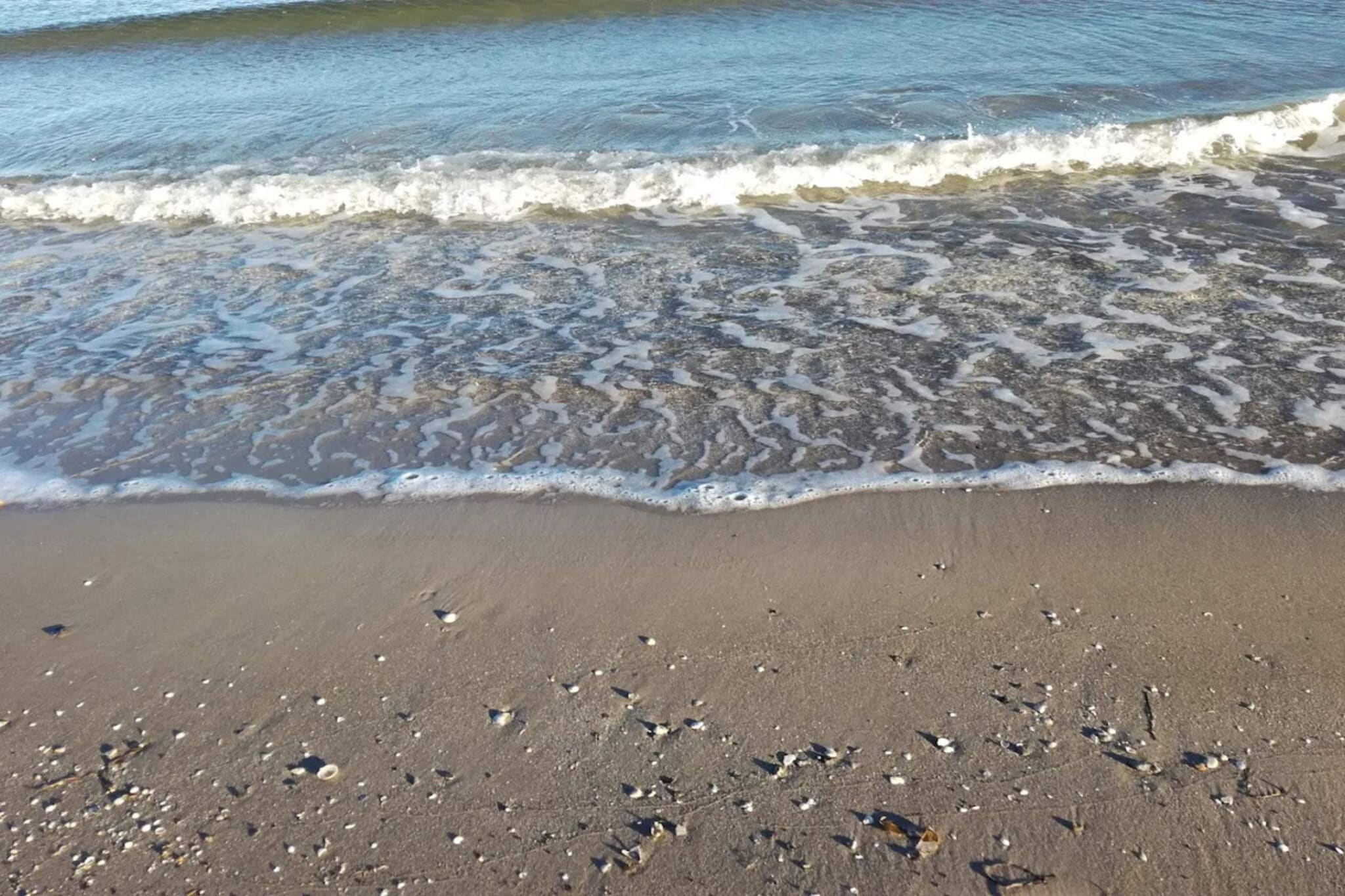 Strandoase in Grena -- By Traum Ferienwohnungen-Waterzicht