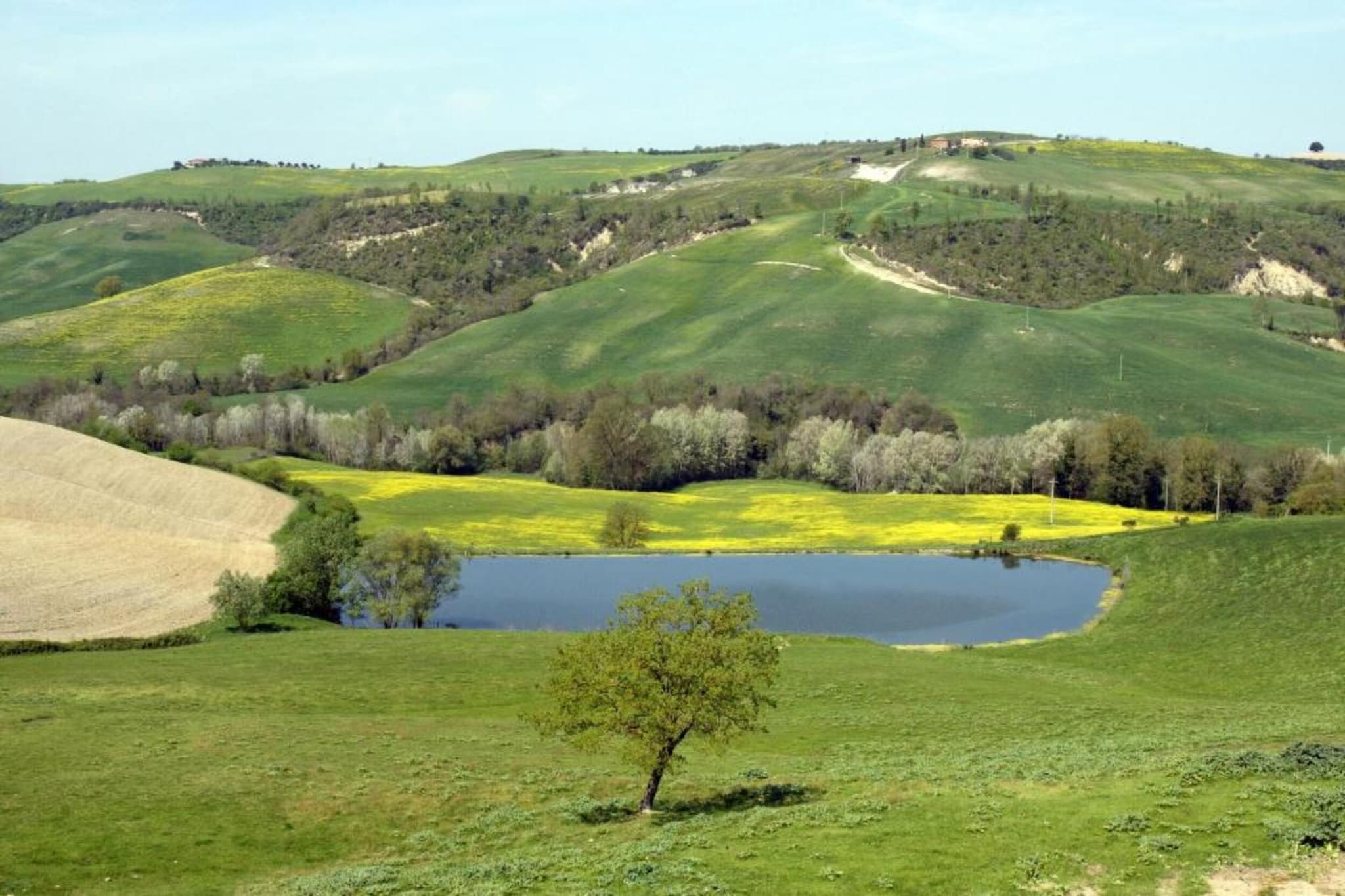 Il Bosco-Zones d'été à 5 km