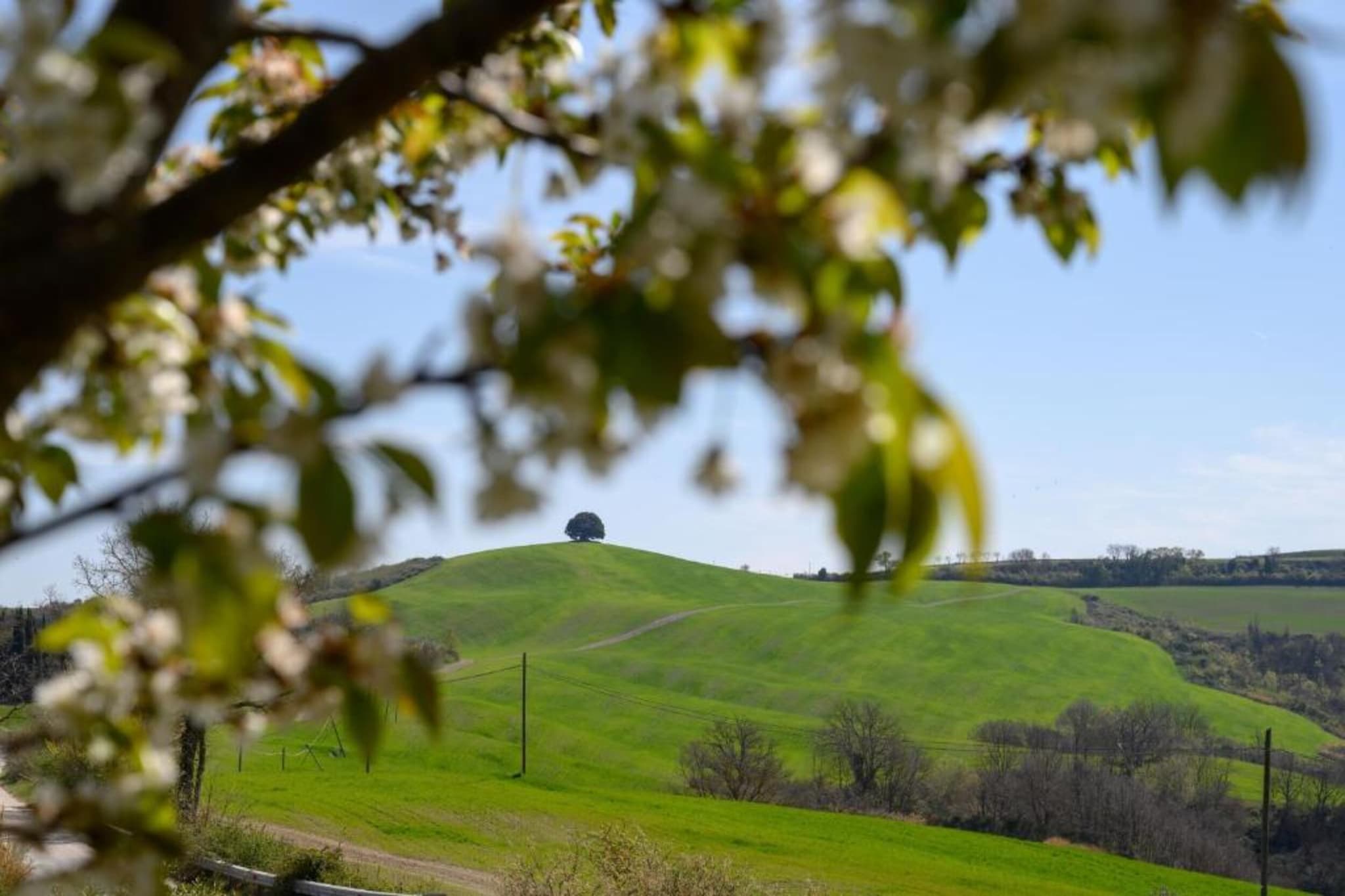 Il Bosco-Zones d'été à 5 km