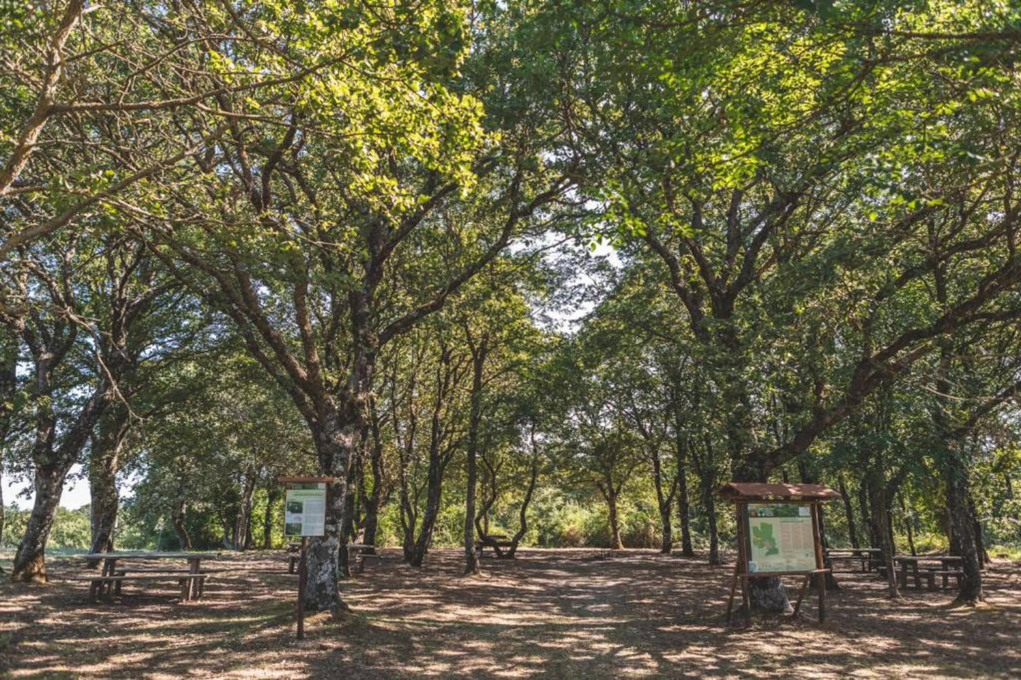 Il Bosco-Zones d'été à 20 km