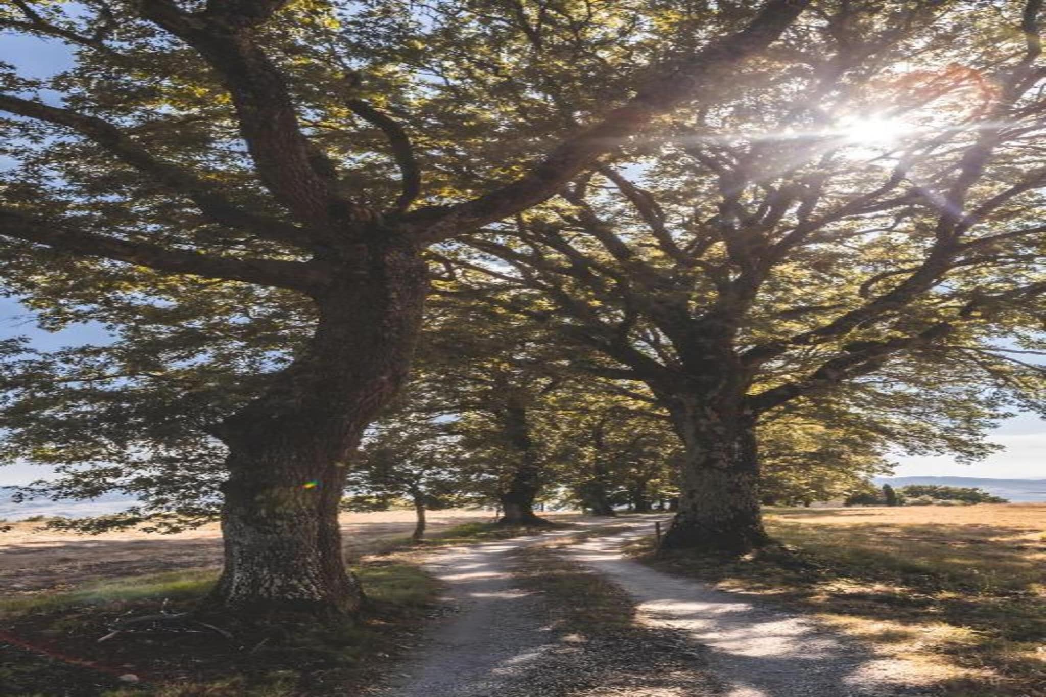 Il Bosco-Zones d'été à 20 km