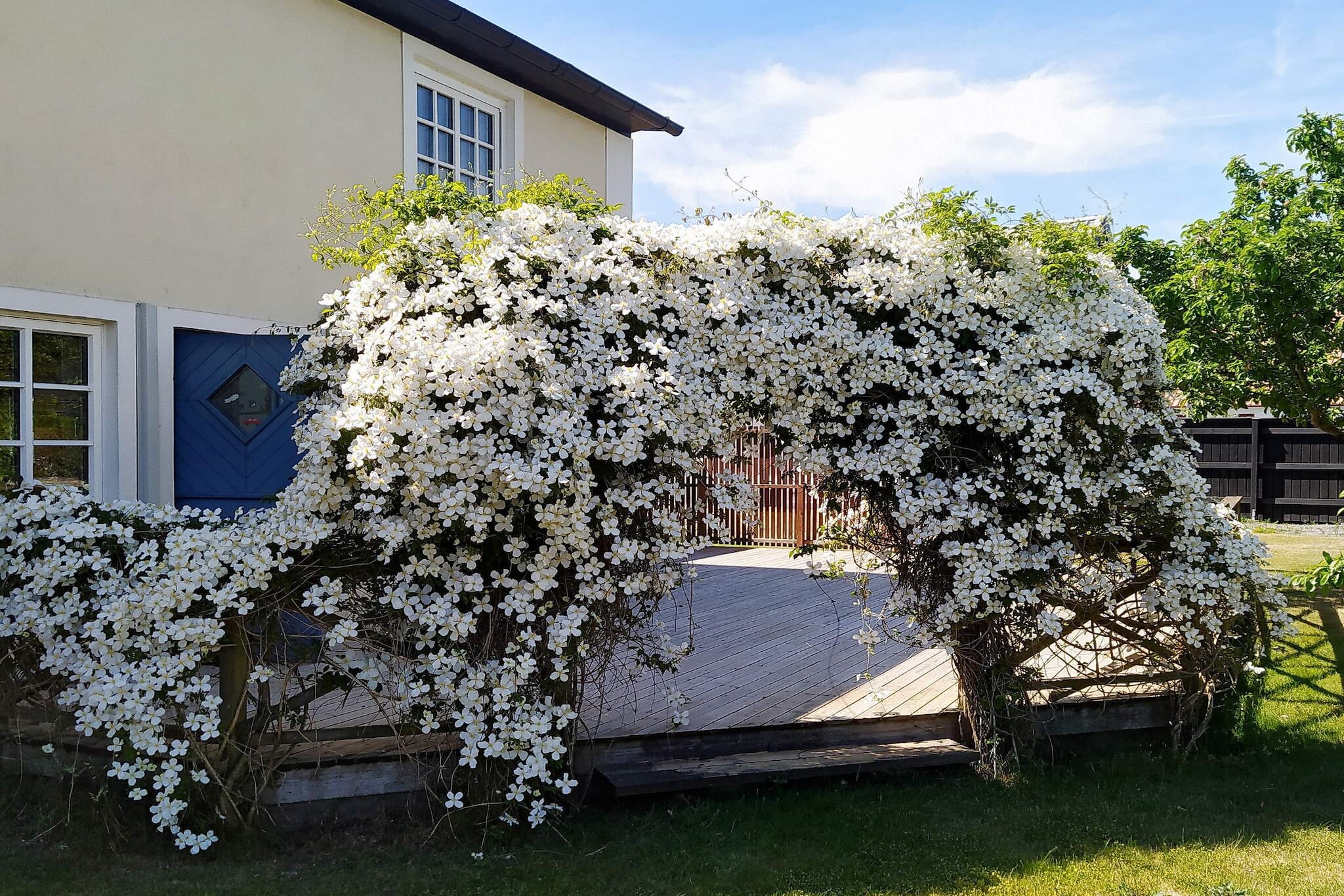 Not far from Sweden's southernmost vantage point in Smygehuk, this charming house is located in a cluster of typical cut for Skåne. In the middle of Smygehamn's small center, a couple of steps (75 m) from the beach. The beautiful south coast extends in both directions where you will find several of Skåne's beautiful bathing spots. From the courtyard with several other surrounding houses there is its own parking space. From the paved patio, next to the entrance, among fig trees and shrubs, the evening sun is best captured. The spacious and comfortably adapted house is perfect for a family with room for up to 5 people and 1 child. The 3 bright bedrooms are located upstairs, where 2 rooms have double beds and the third a single bed and a cot. There is also a fresh bathroom with WC and walk-in shower. In the open floor plan on the lower floor opens a large living room with a sofa, TV and a wood burning stove for cozy evenings. The spacious and rustic kitchen is equipped with refrigerator, stove, oven, microwave and dishwasher and a generous bar counter. From the dining area for 6 people you have supervision over the whole family. An extra room furnished with sofa and armchairs serves as a library and games room. The larger bathroom downstairs also has a WC and shower with bath. Outside you have a virtually private patio with large wooden deck, outdoor furniture and barbecue with surrounding lawn, climbing plants and fruit trees. In the surroundings there is a fish smokehouse, café, ice cream kiosk and restaurants such as Restaurant Pärlan, Hedmans Krog, Hörte Brygga and the golf restaurant at Bedinge Golf Course. A couple of miles away are Trelleborg and Ystad and the whole of southern Skåne's beautiful nature and events!