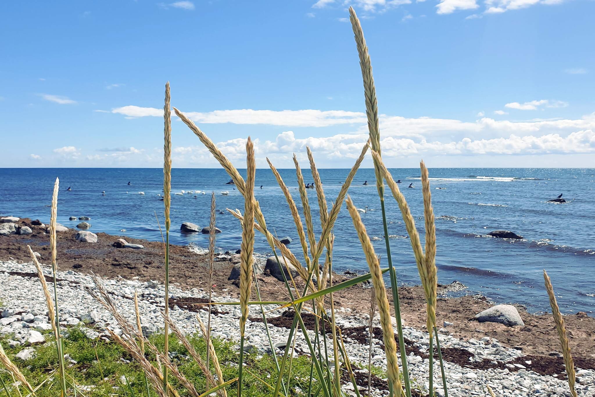 5 persoons vakantie huis in SMYGEHAMN-Waterzicht