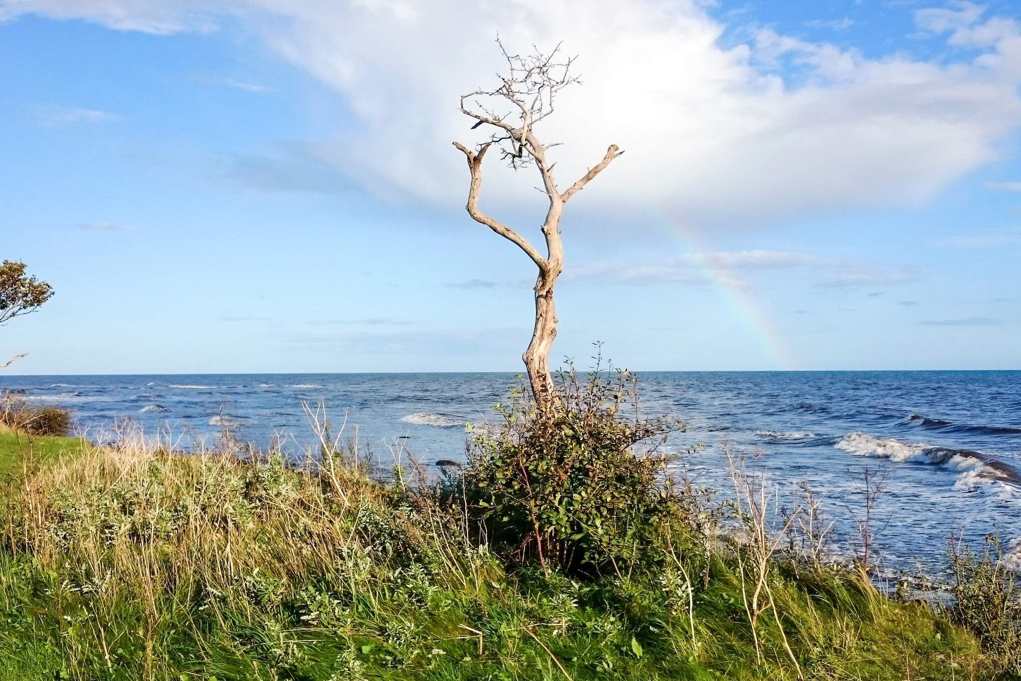 5 persoons vakantie huis in SMYGEHAMN-Waterzicht