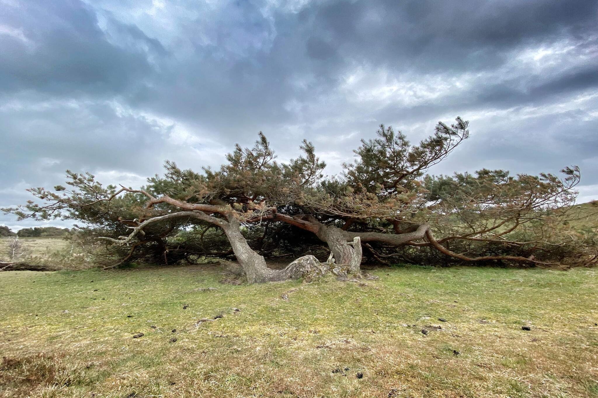5 person holiday home in Græsted-Untagged