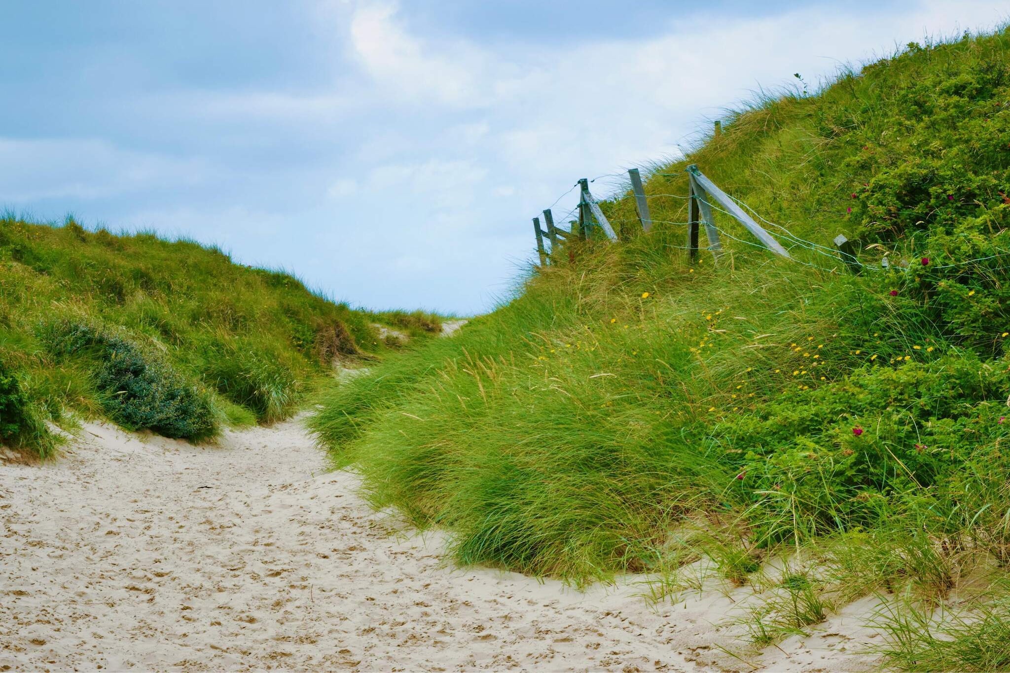 8 persoons vakantie huis in Blåvand
