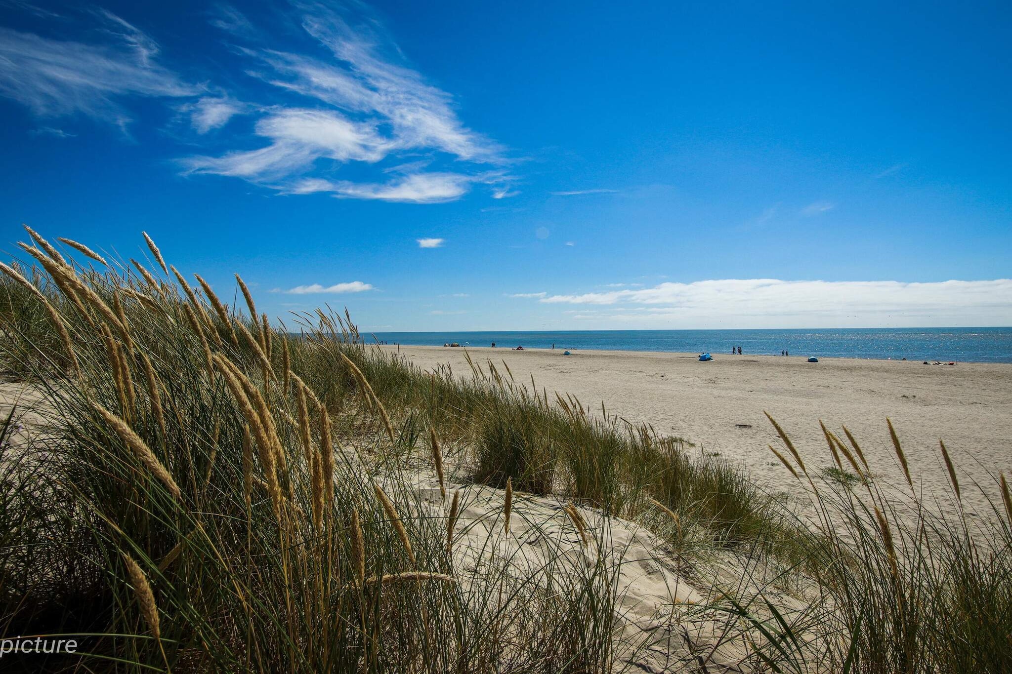 8 persoons vakantie huis in Blåvand-Waterzicht