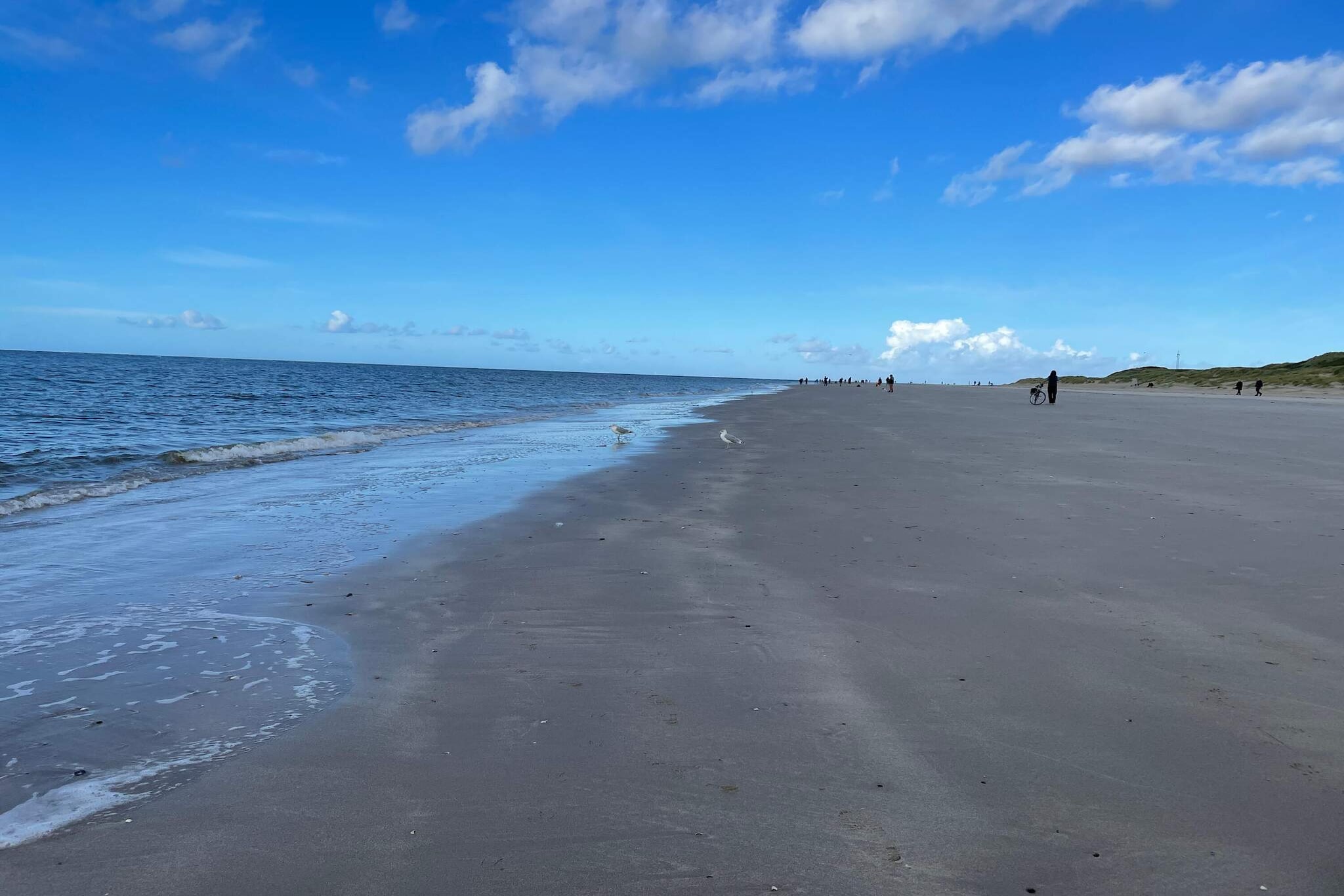 8 persoons vakantie huis in Blåvand-Waterzicht