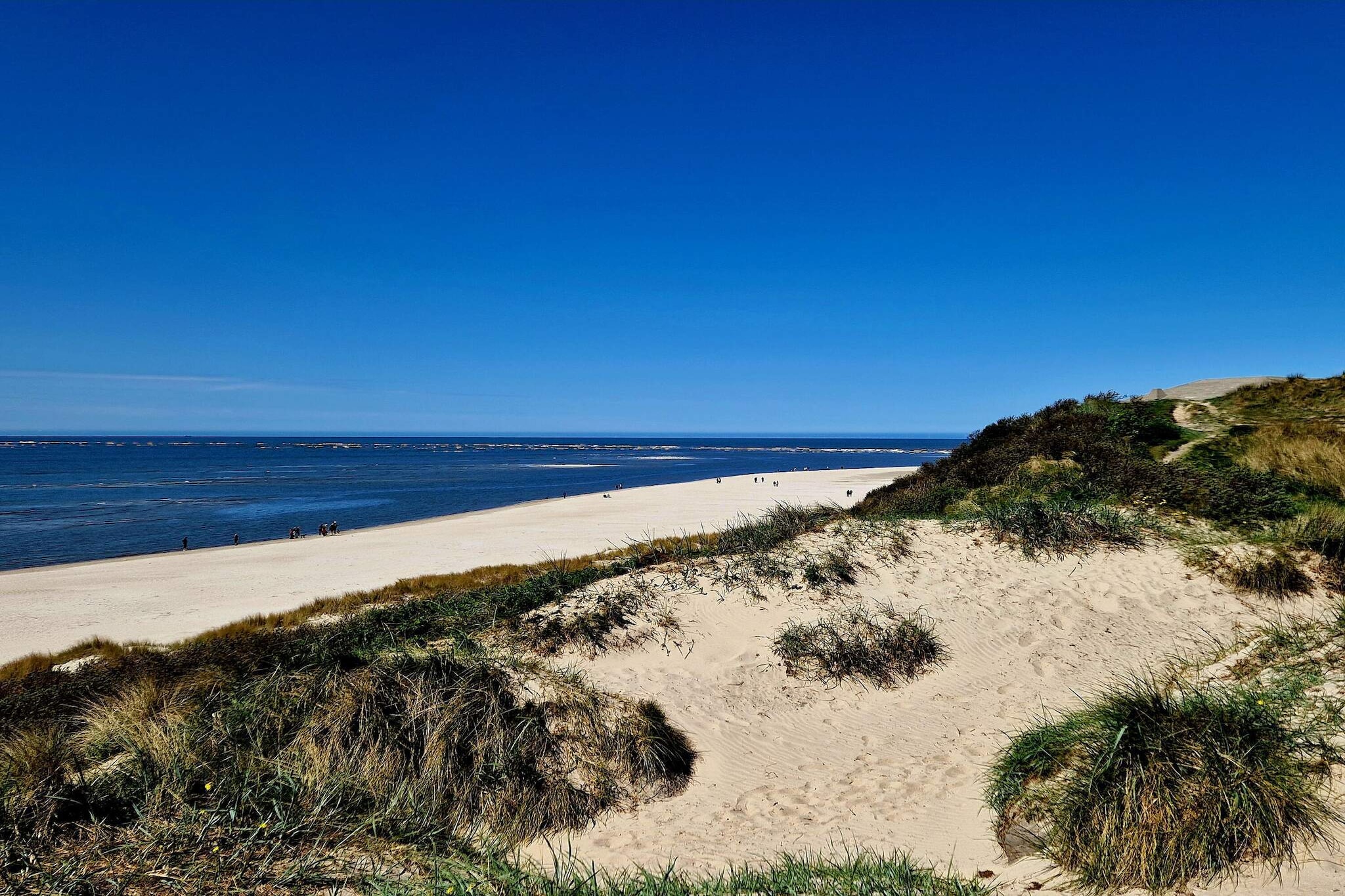 8 persoons vakantie huis in Blåvand-Waterzicht