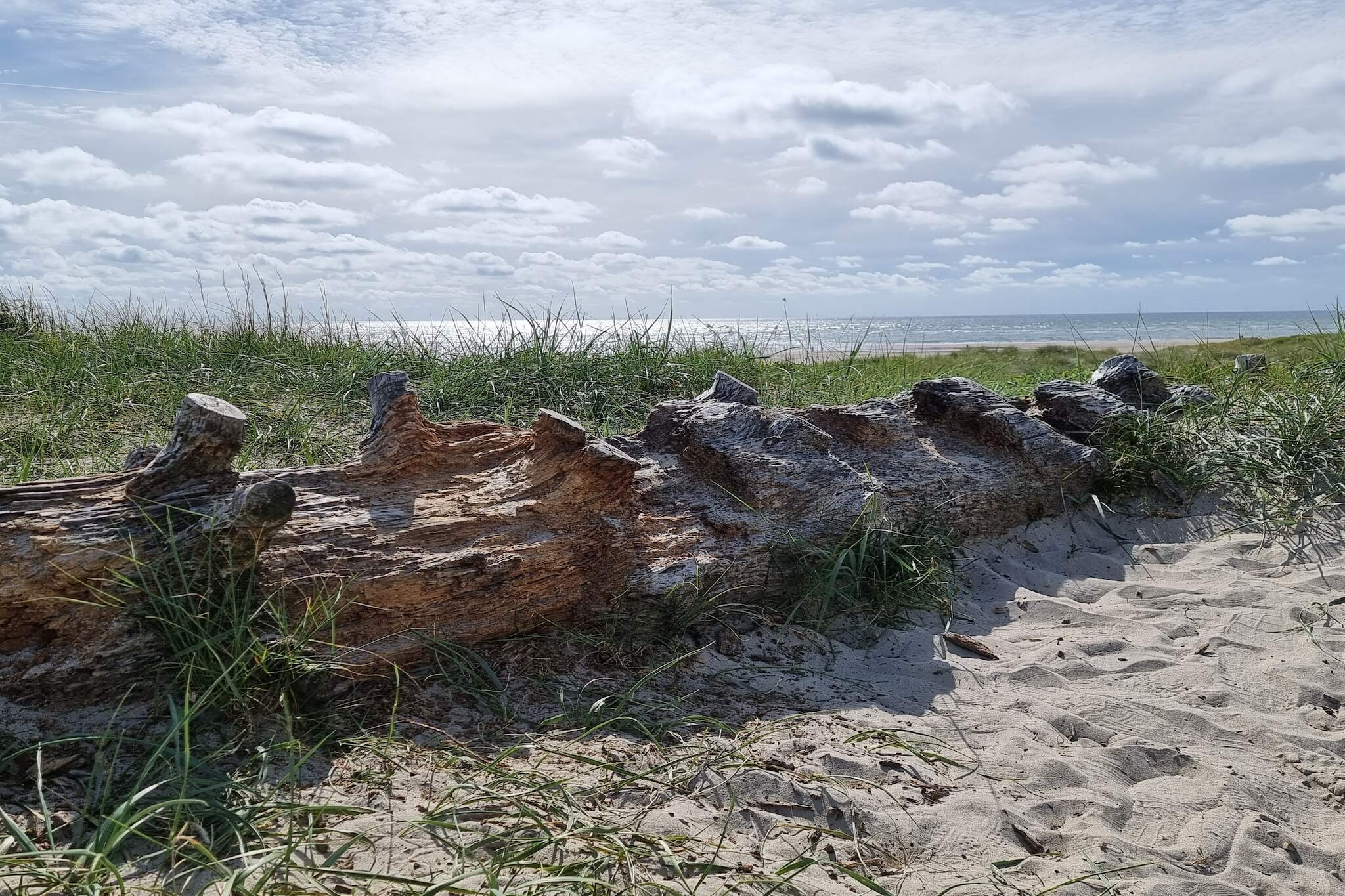 8 persoons vakantie huis in Blåvand-Waterzicht
