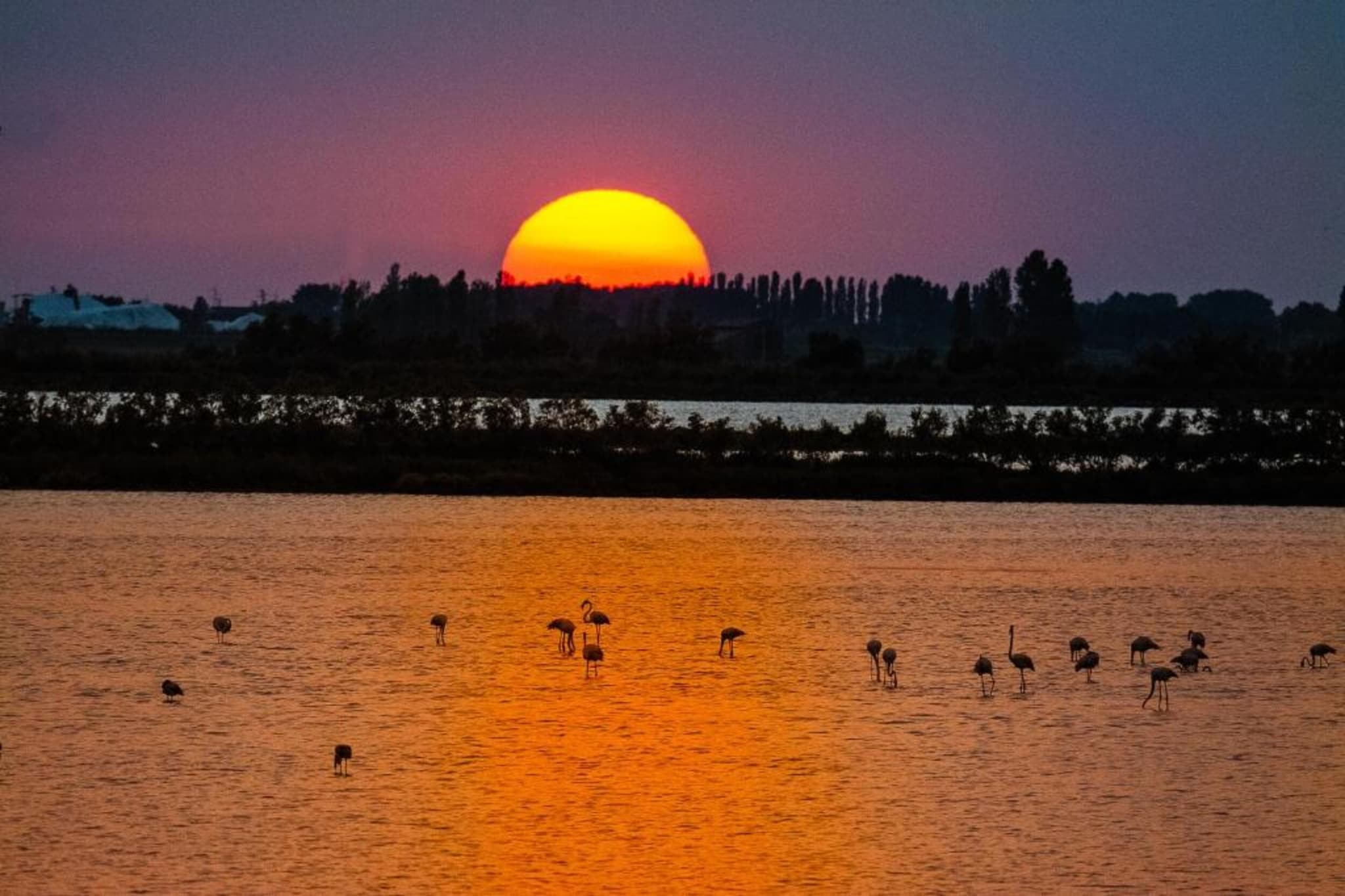 Ca Bianca 1-Gebieden zomer 5km