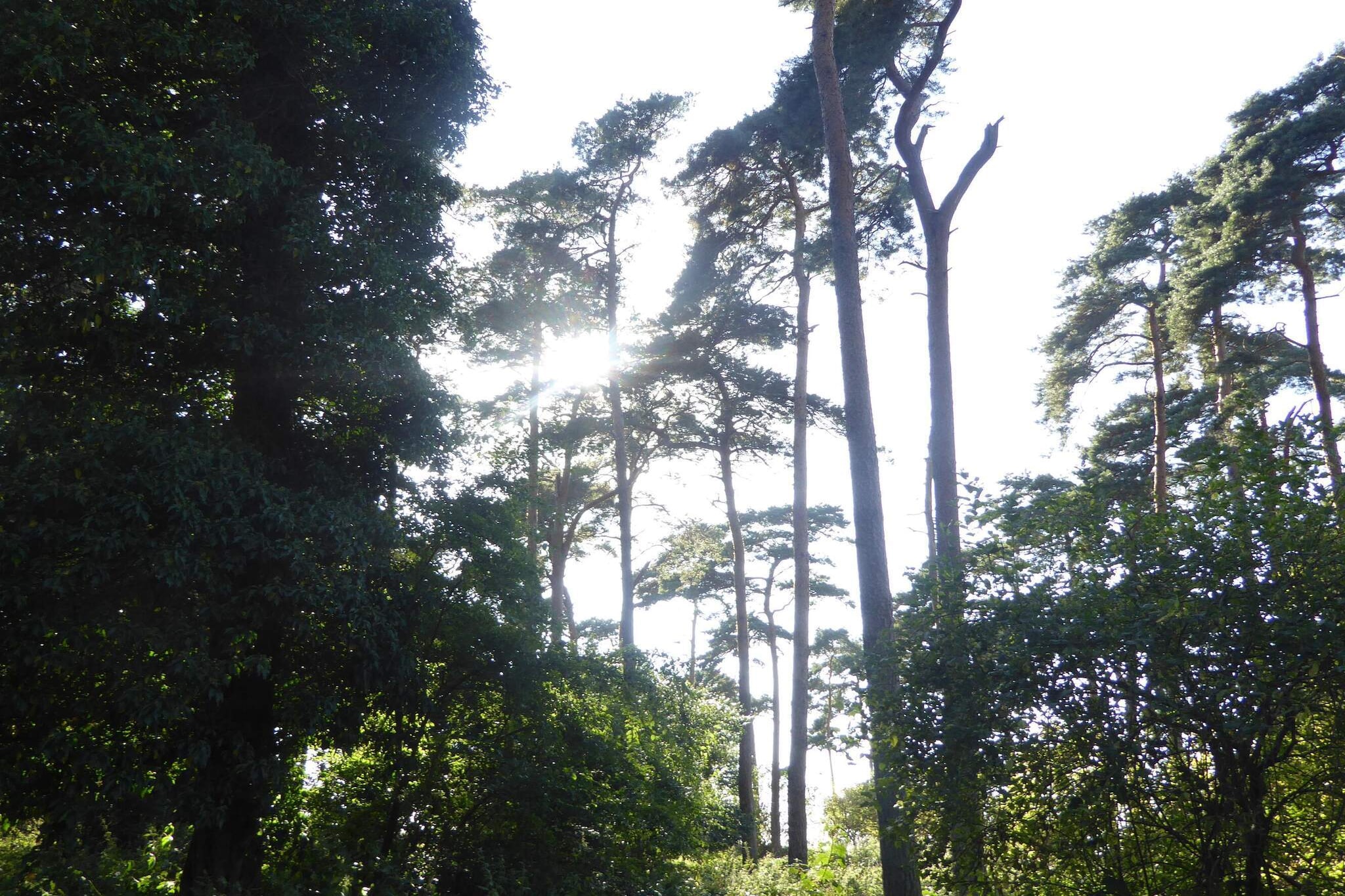 4 person holiday home in Bogense-By Traum-Untagged