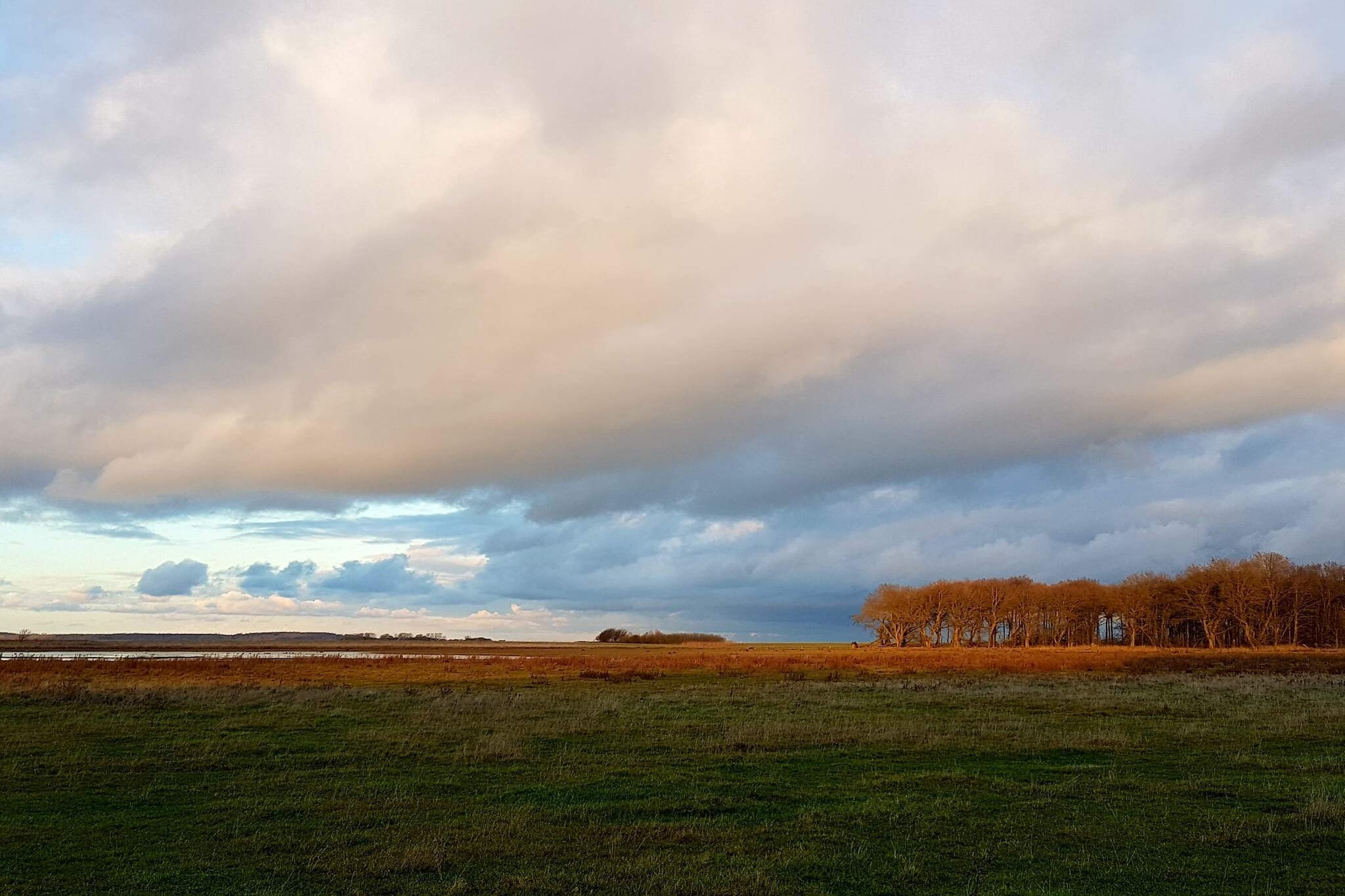 4 person holiday home in Bogense-By Traum-Untagged