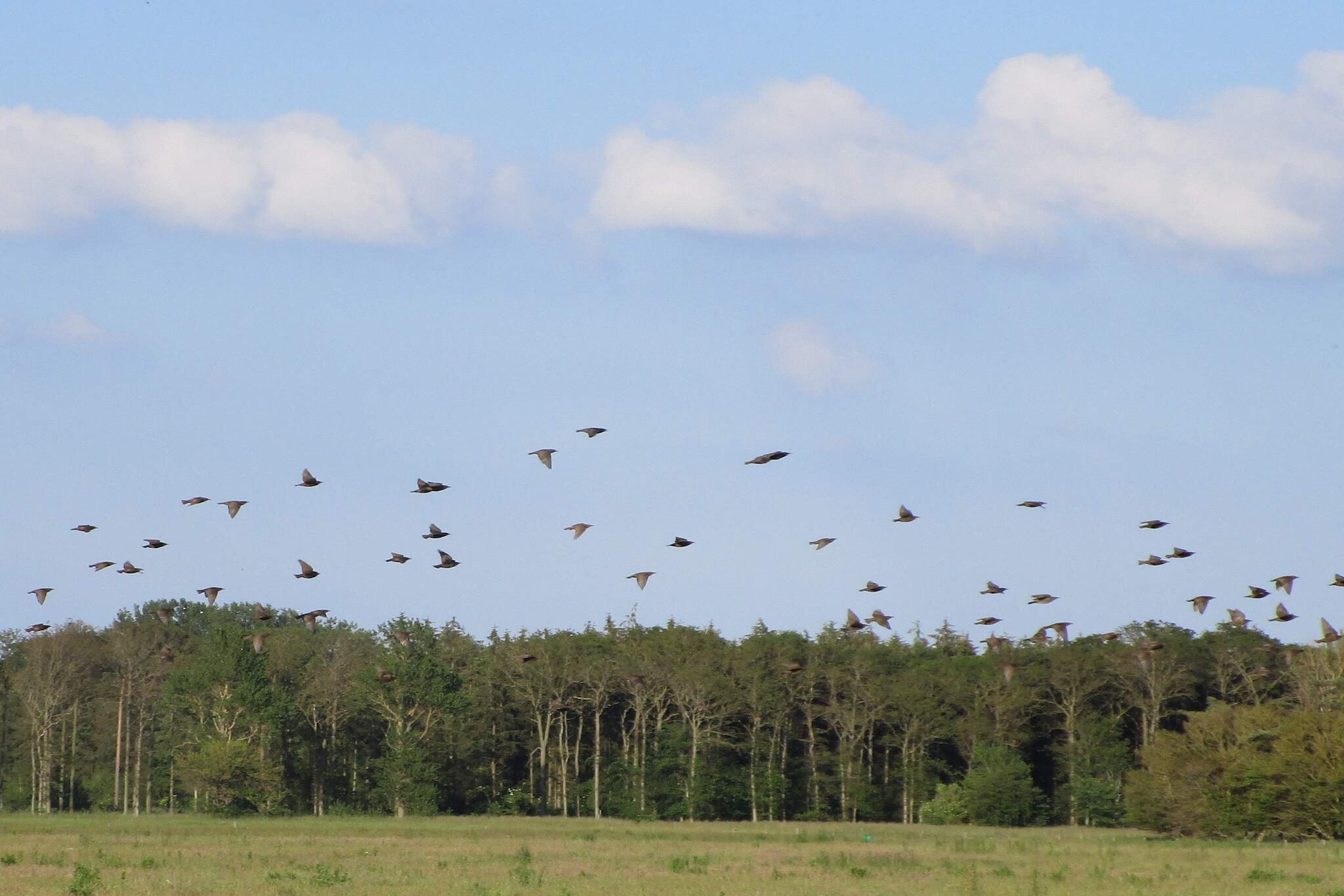 4 person holiday home in Bogense-By Traum-Untagged
