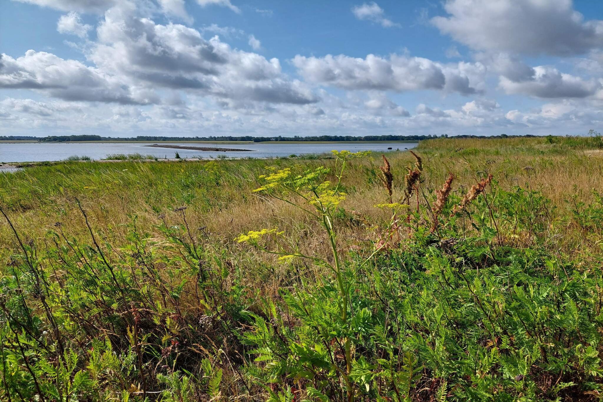 4 person holiday home in Bogense-By Traum-Water view