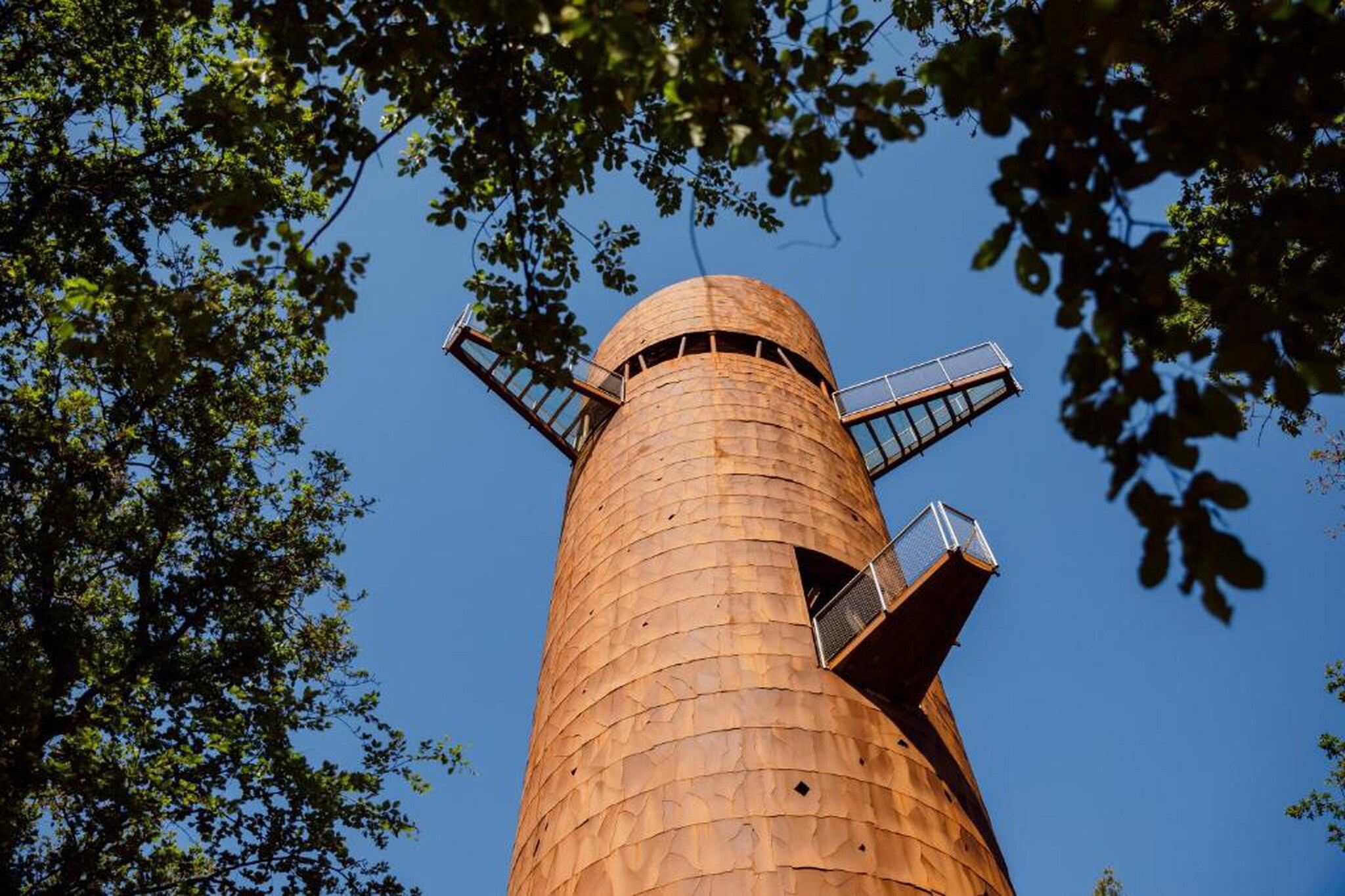 RCN Vakantiepark de Roggeberg 8-Gebiete Sommer 20 km