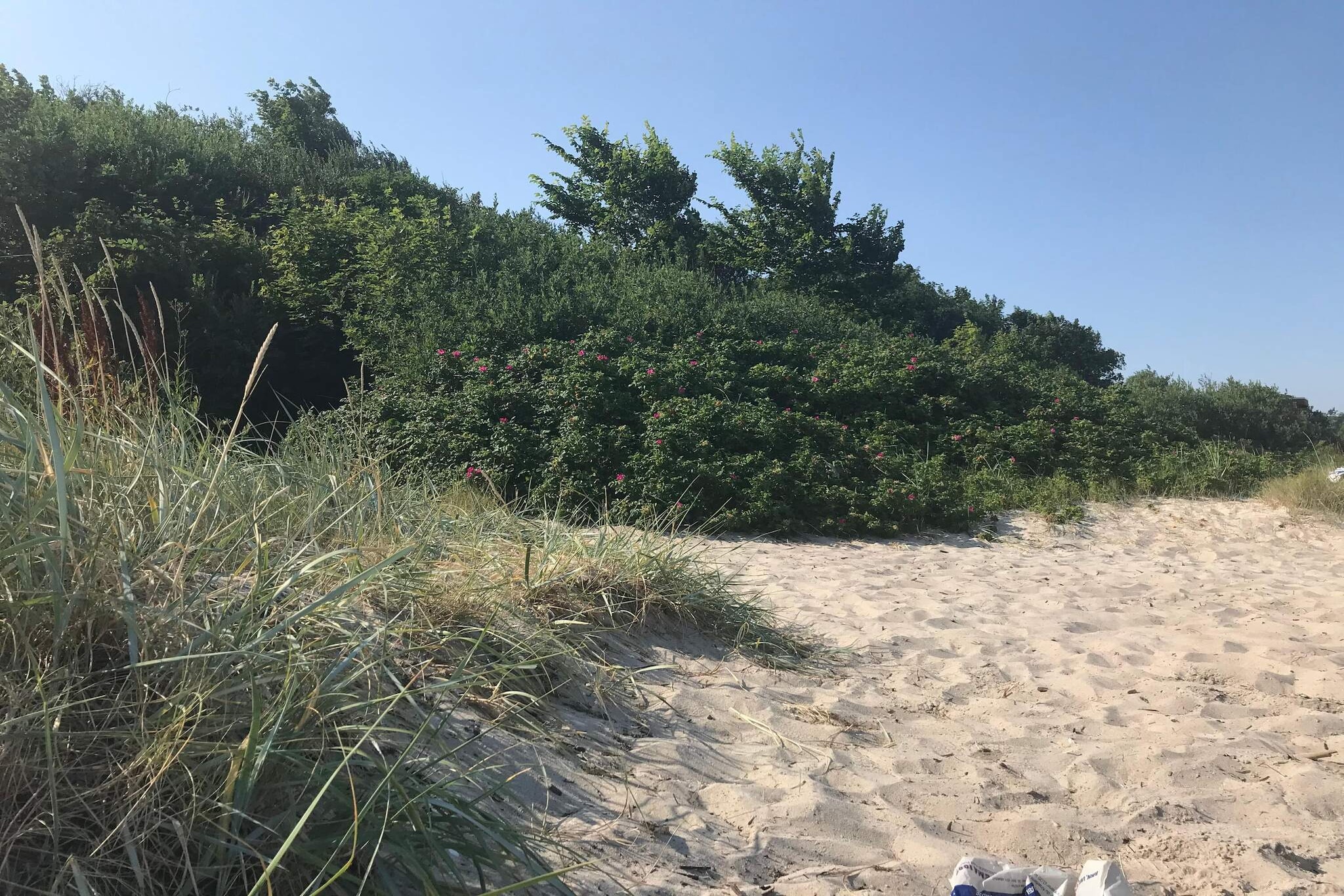 5 persoons vakantie huis in Odder-By Traum-Niet-getagd