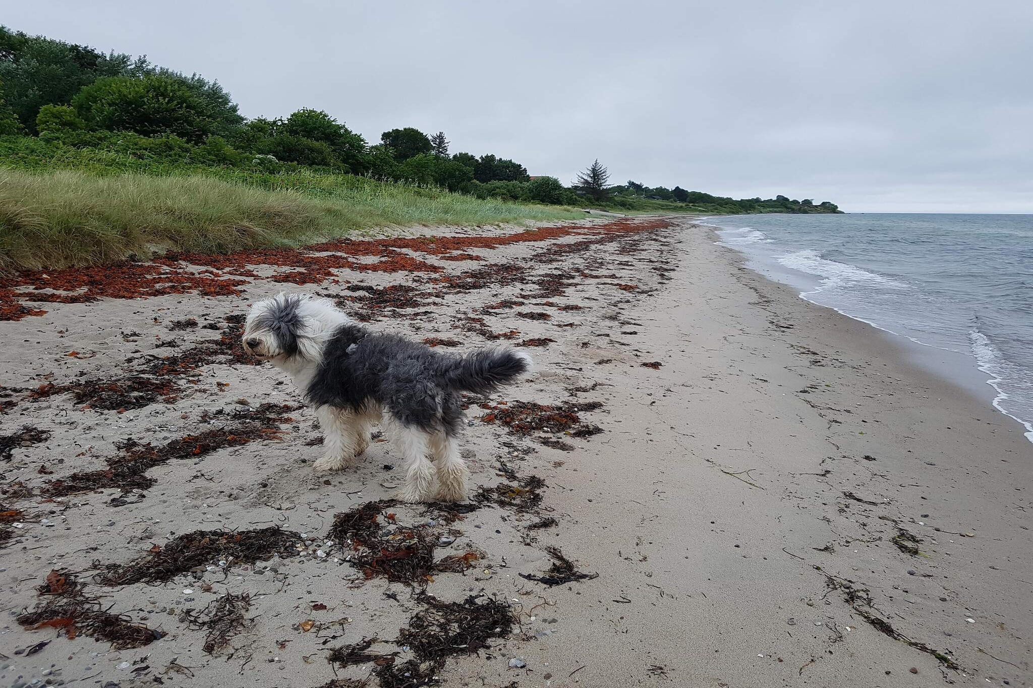 5 persoons vakantie huis in Odder-By Traum-Waterzicht