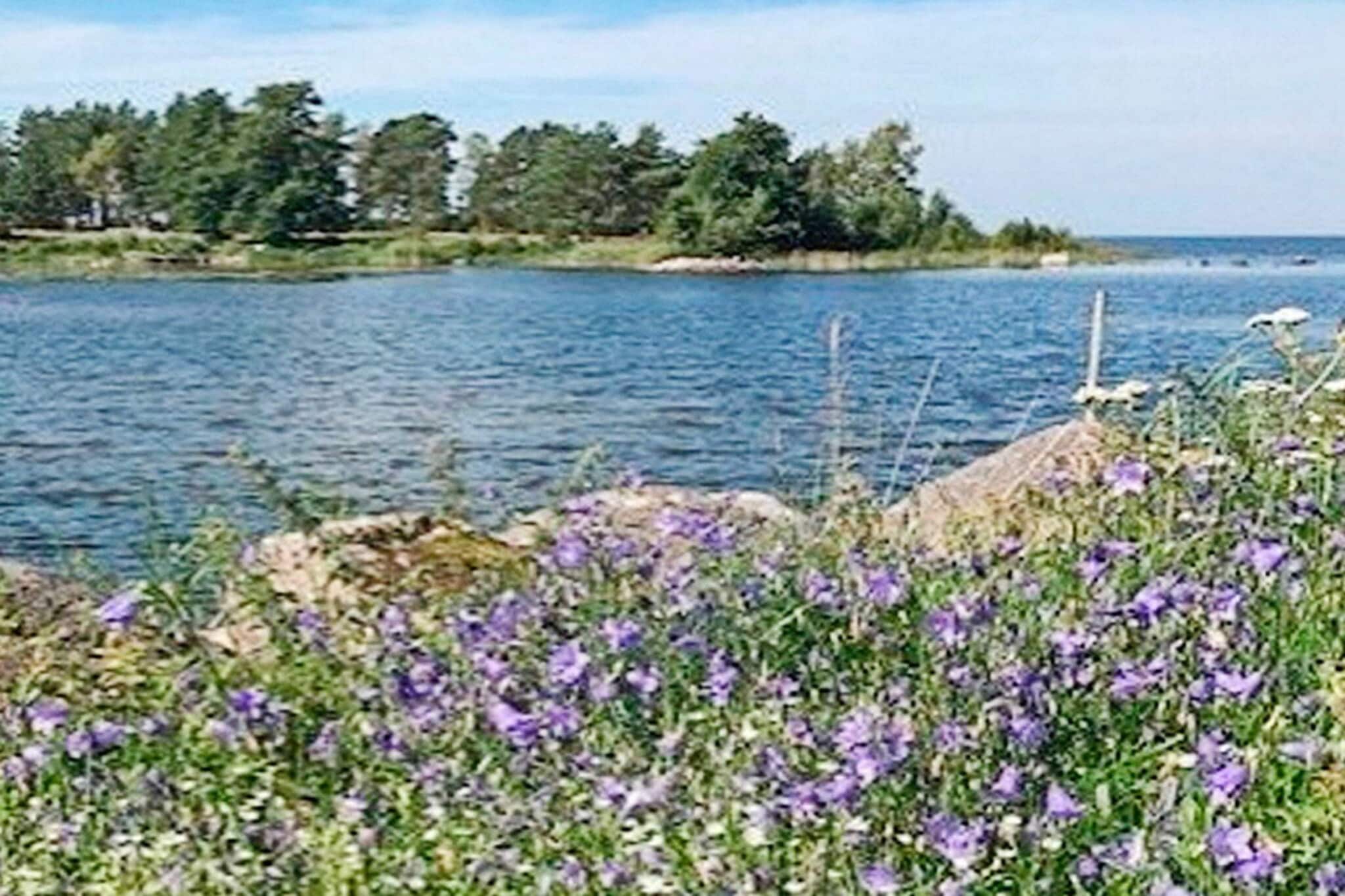 4 persoons vakantie huis in KRISTINEHAMN - Uitzicht