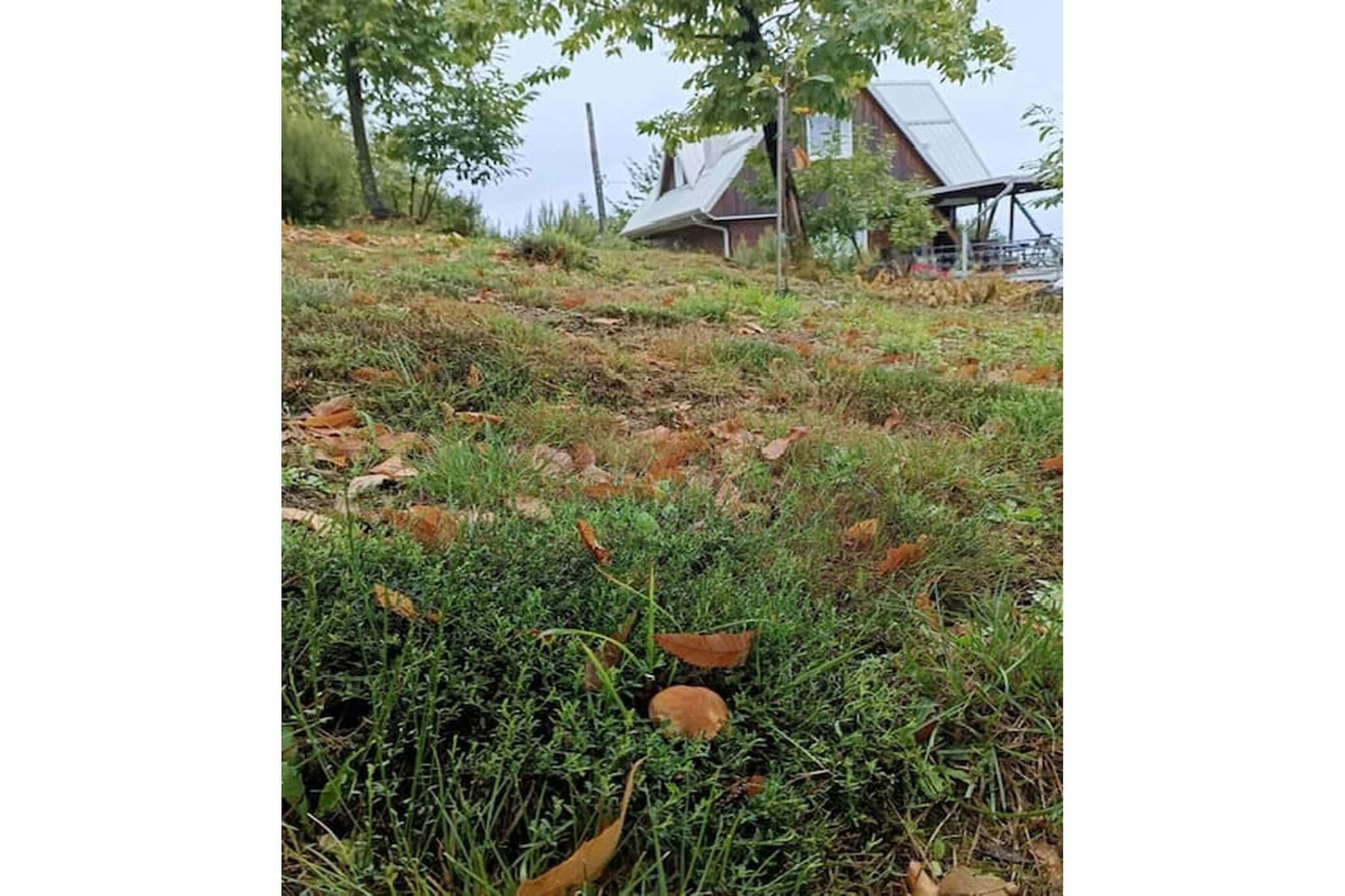 Casa dei Sogni - Tuinen zomer
