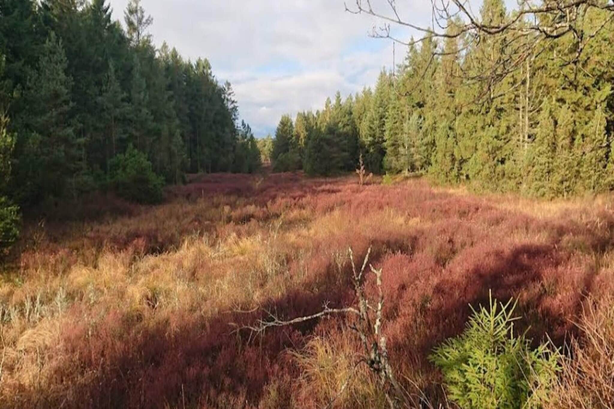 Cozy Retreat in Marielyst - By Traum Ferienwohnungen