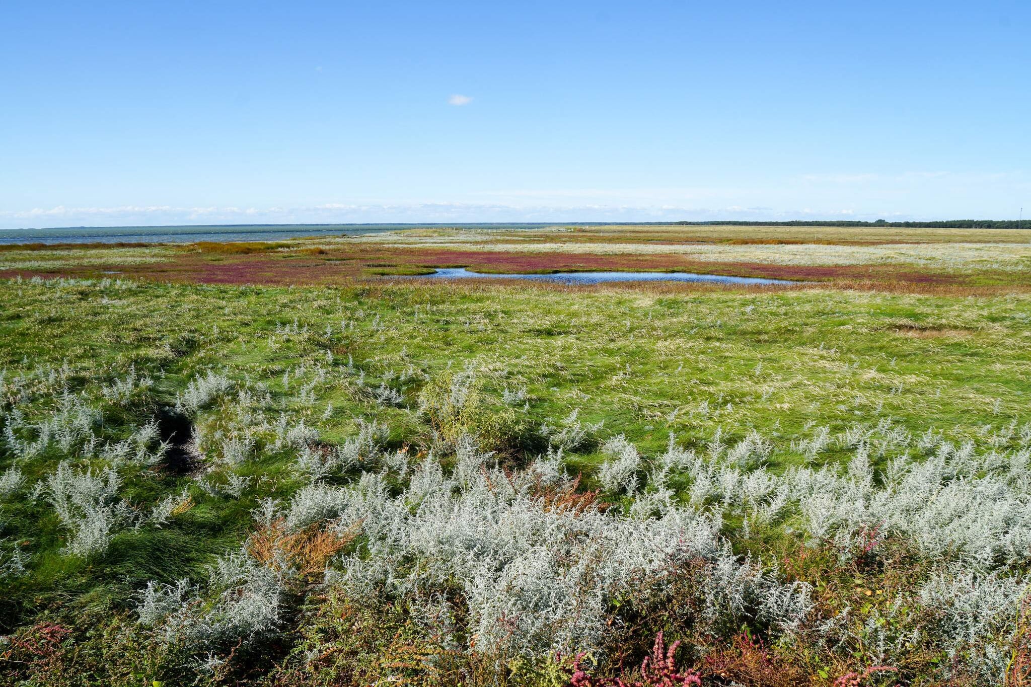 6 persoons vakantie huis in Læsø-By Traum-Niet-getagd