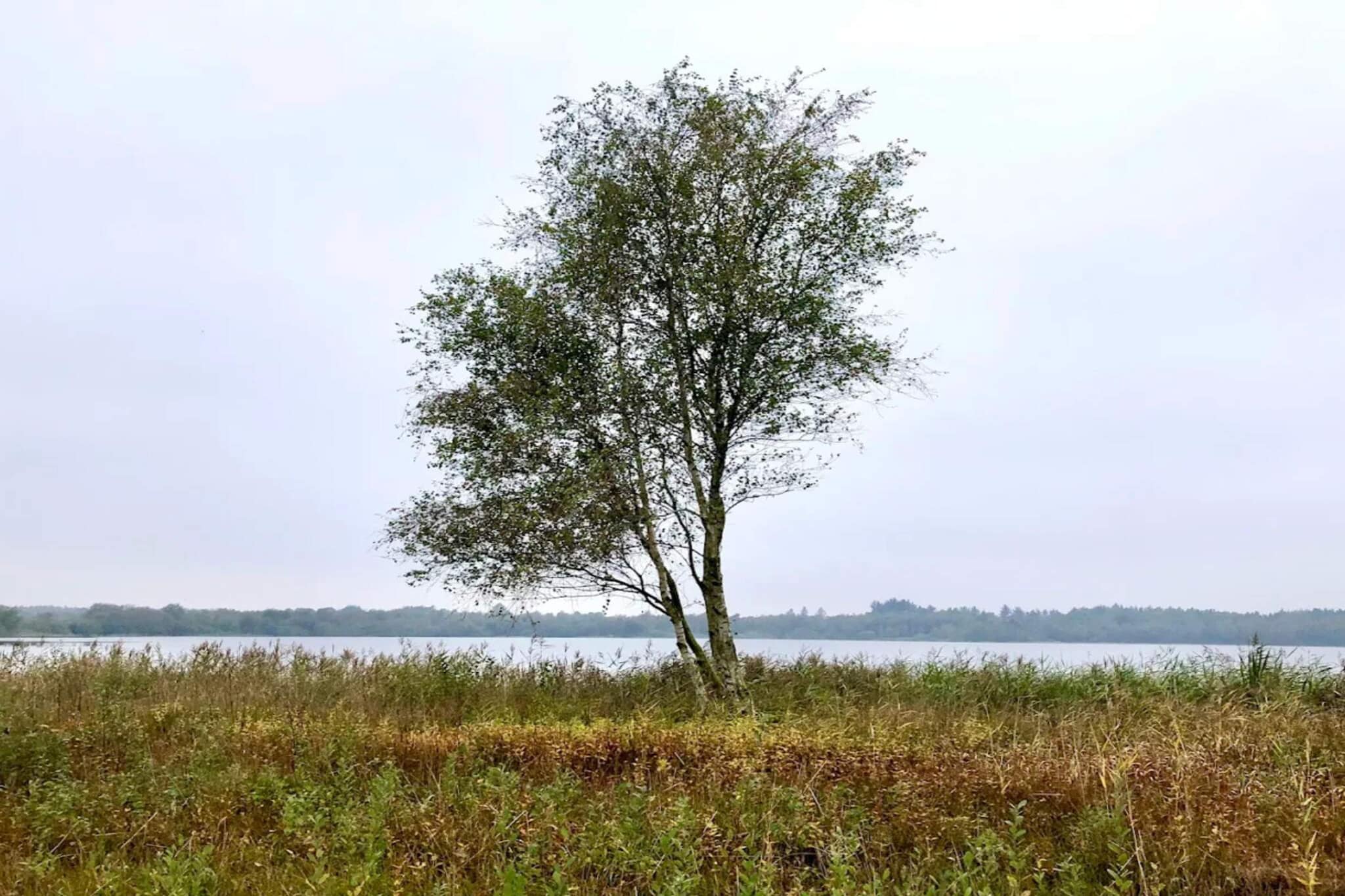 5 Personen Ferienhaus in Ansager-By Traum - Wasserblick