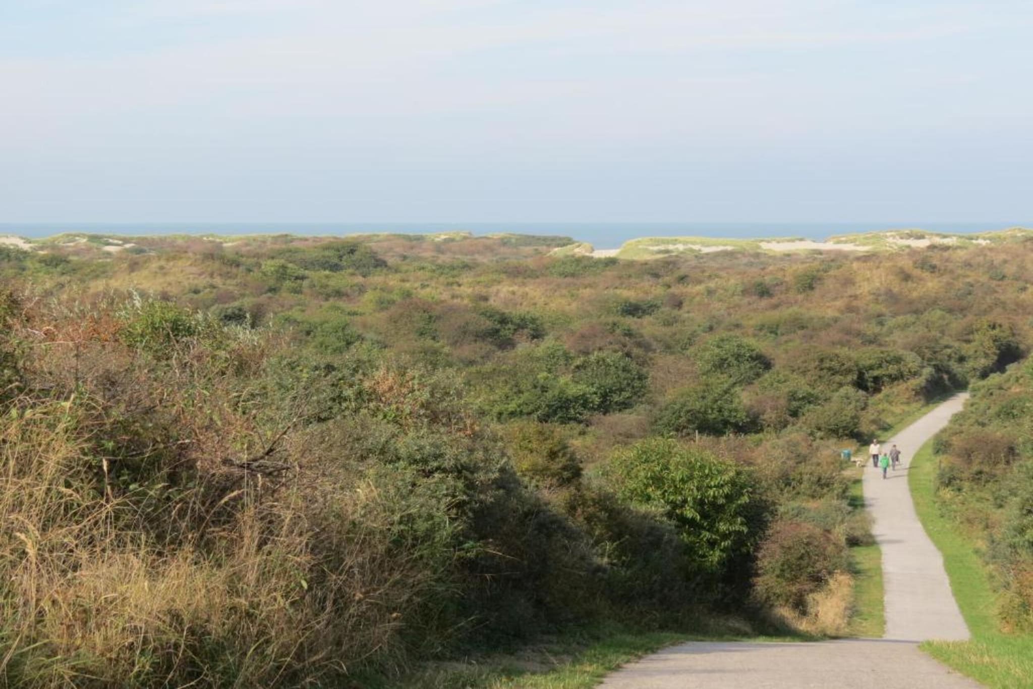 Jan van Renesseweg 1 - Renesse 4p-Gebiete Sommer 20 km