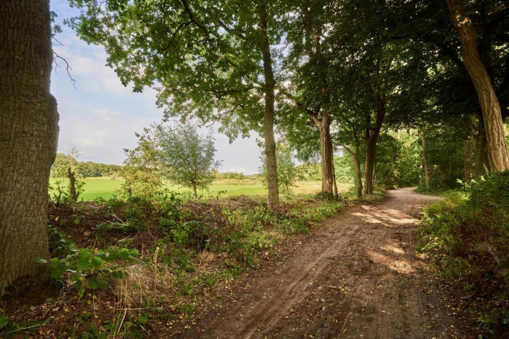 Vakantiepark de Katjeskelder 21-Gebieden zomer 5km