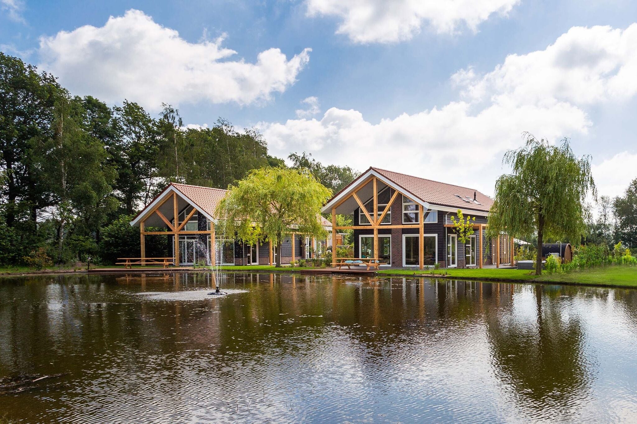 Villa with outdoor wellness, in Achterhoek