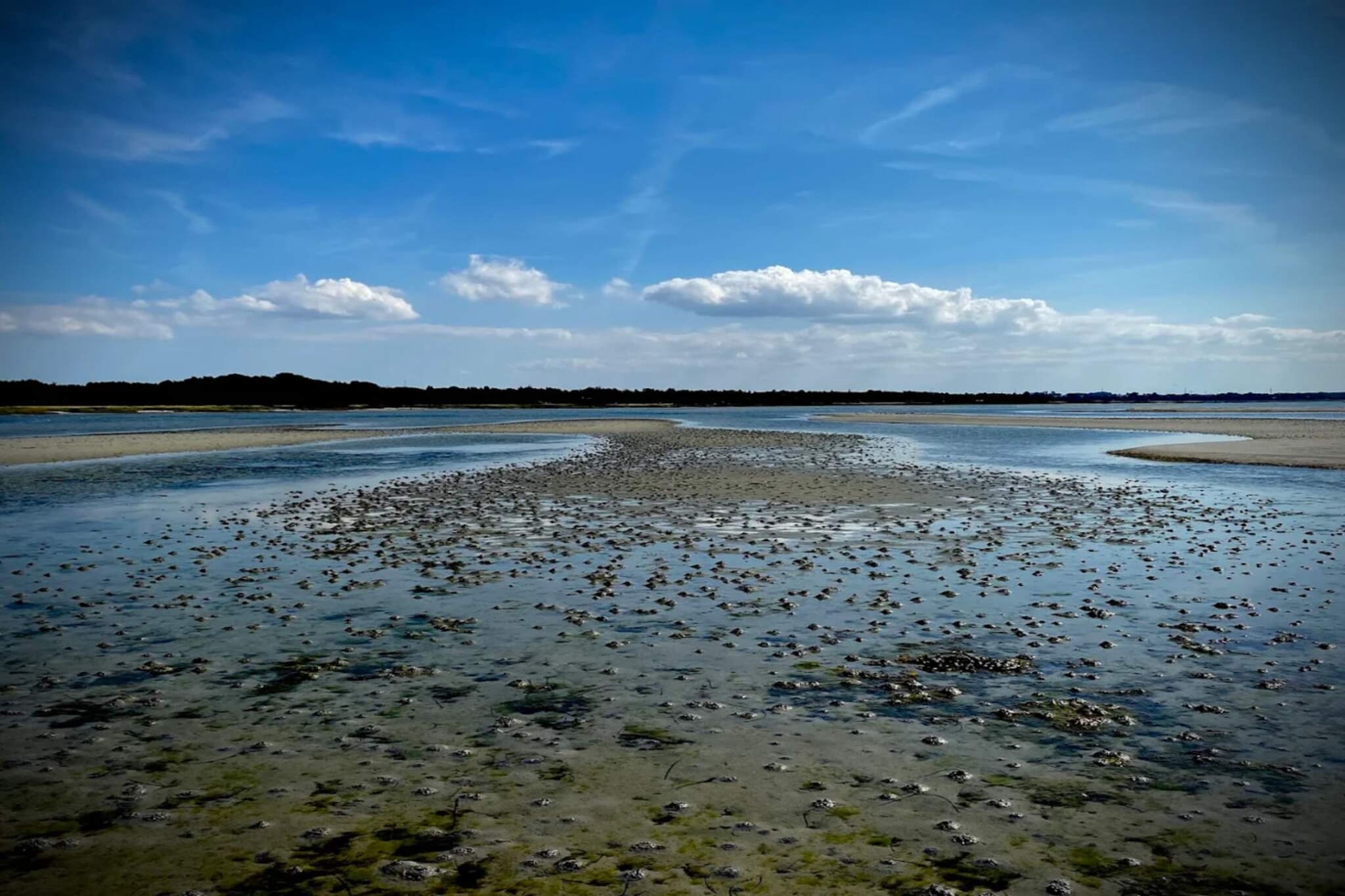 Luxe retraite met zwembad - Waterzicht