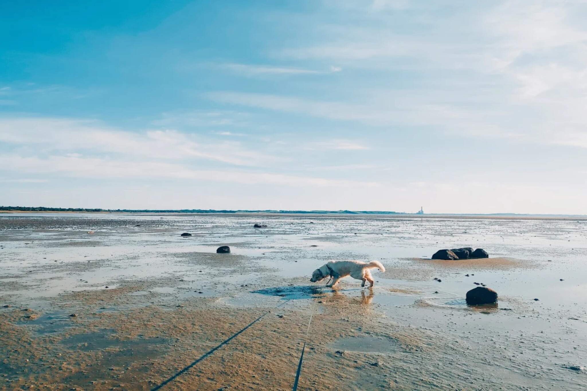 Luxe retraite met zwembad - Waterzicht