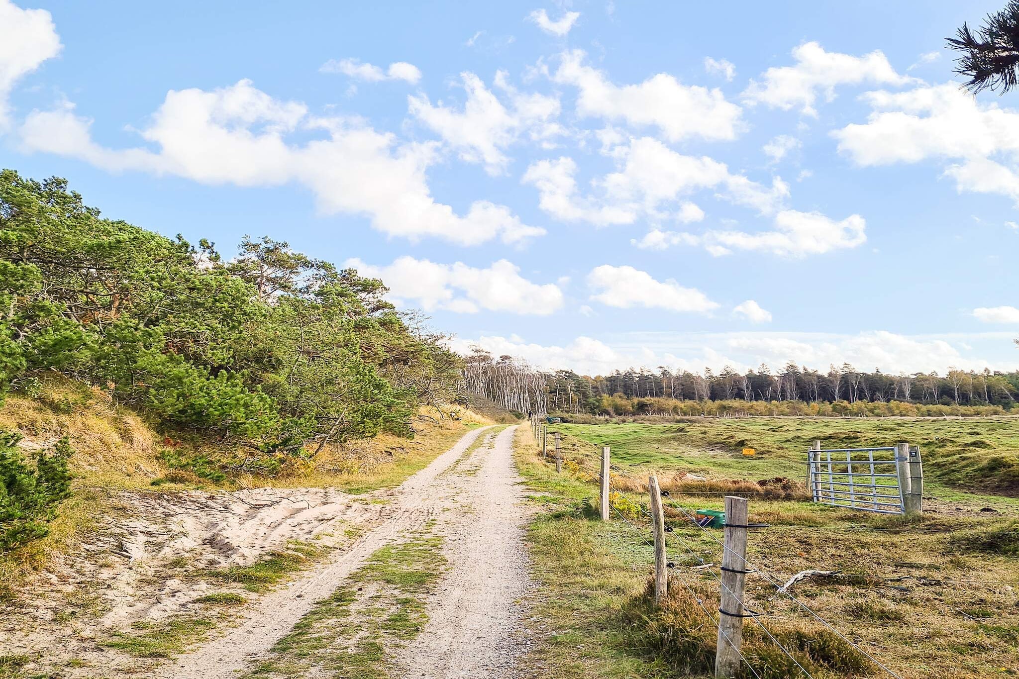 6 persoons vakantie huis in Frederiksværk-By Traum-Buitenlucht