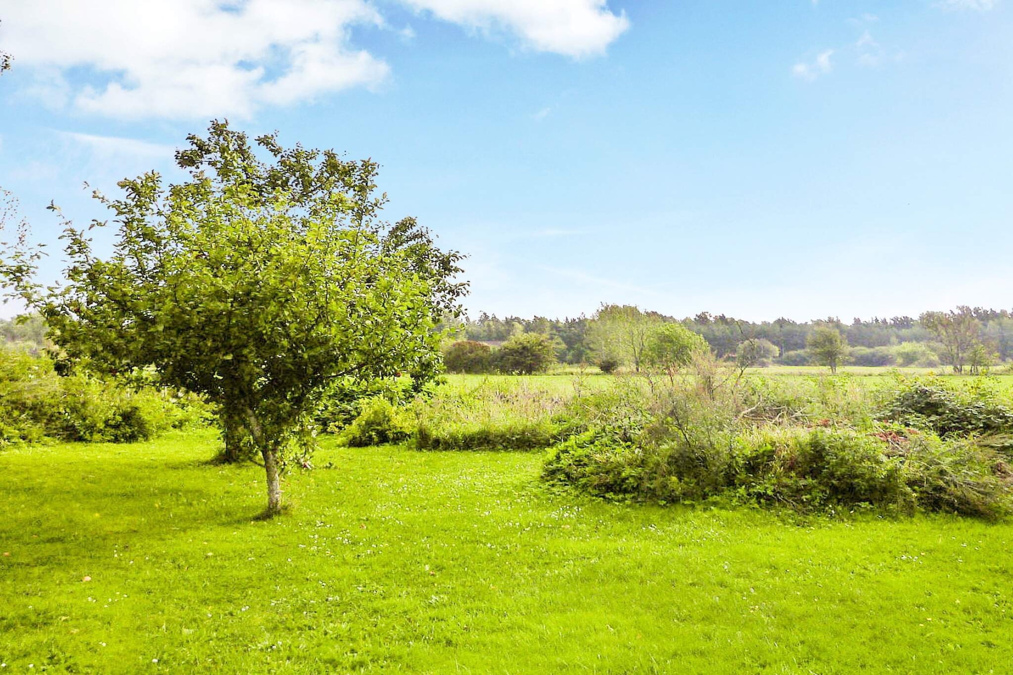 4 persoons vakantie huis in HÖGKLINT-By Traum