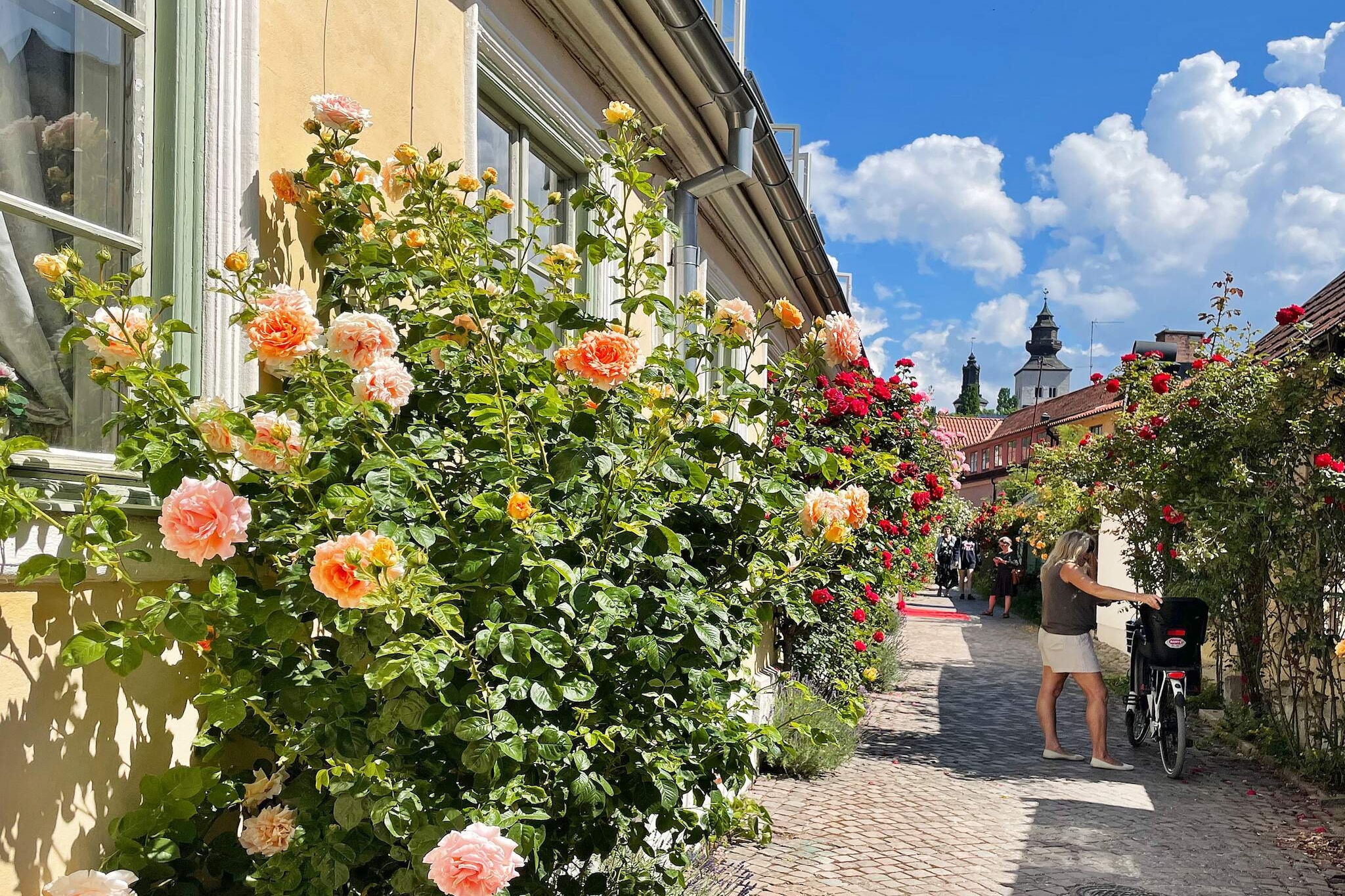 4 persoons vakantie huis in HÖGKLINT-By Traum - Niet-getagd
