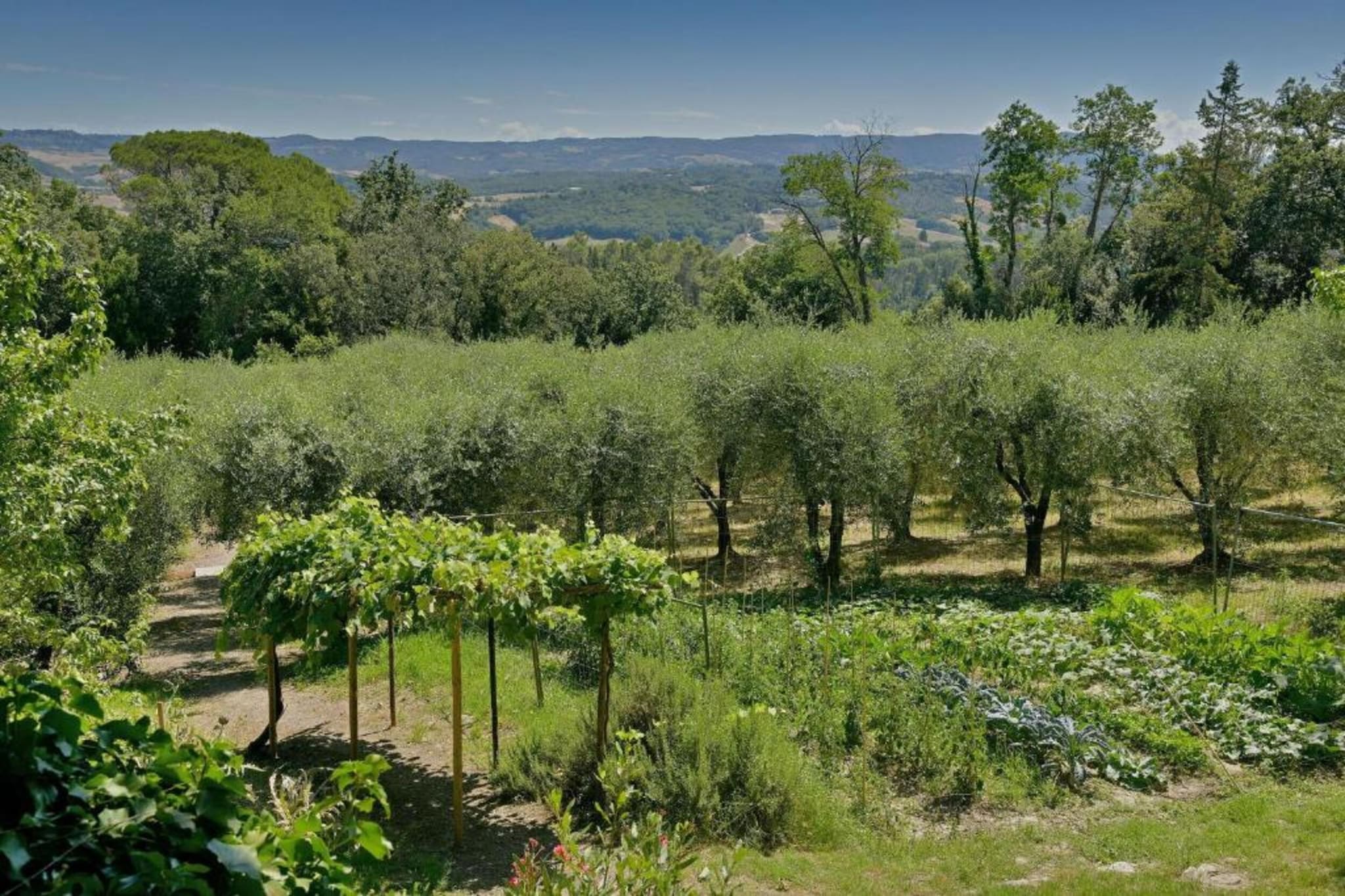 Villa Celli-Gebieden zomer 5km